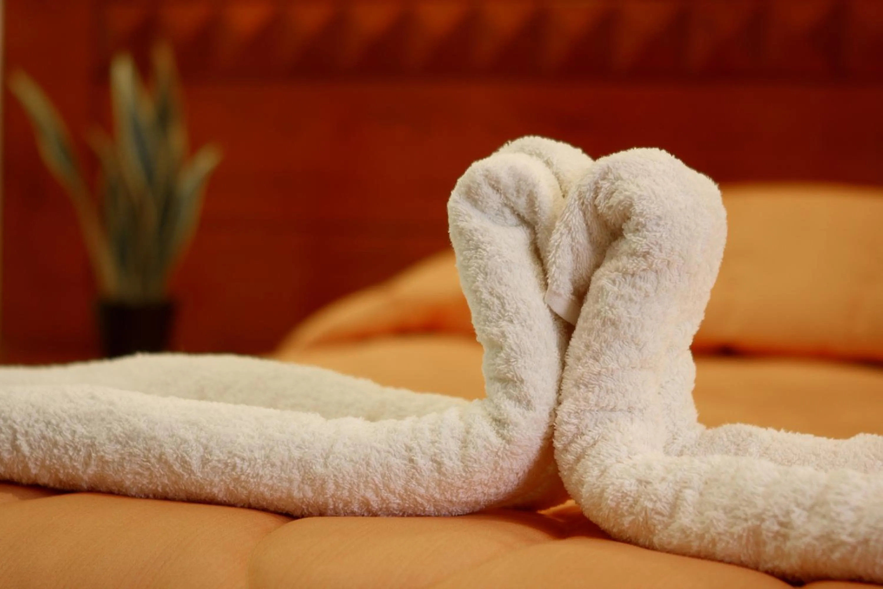 Decorative detail in Hotel Tikary