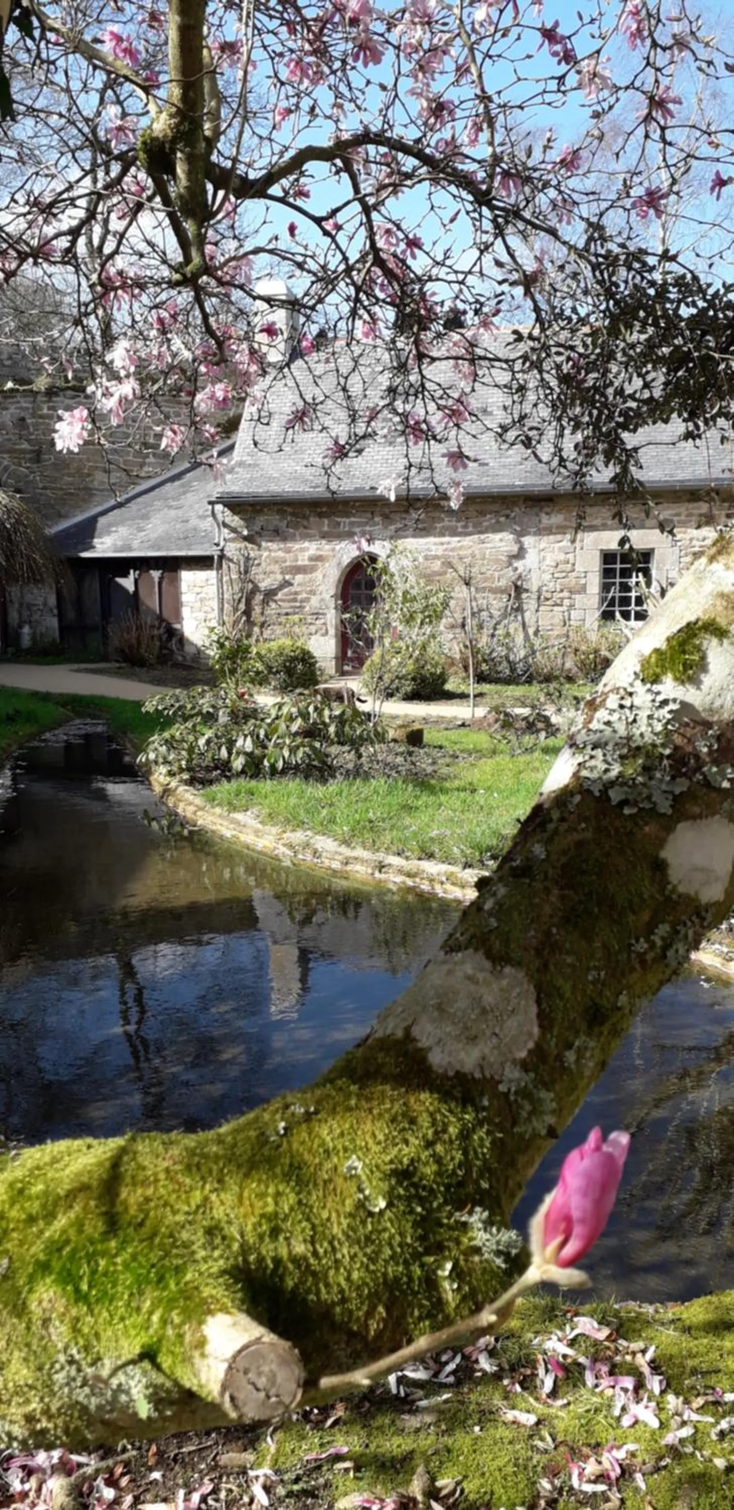 Garden in Manoir du Moustoir - Hôtel Les Empreintes