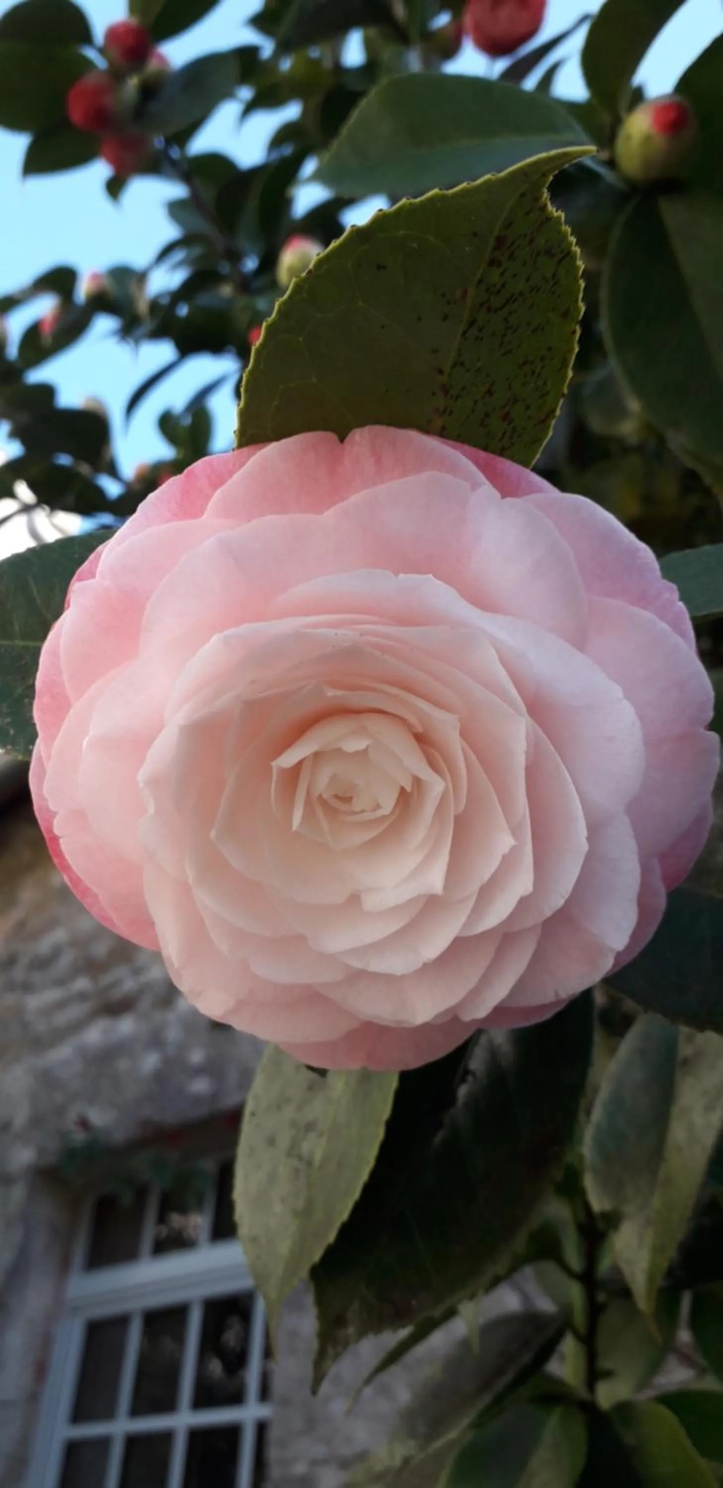 Manoir du Moustoir - Hôtel Les Empreintes