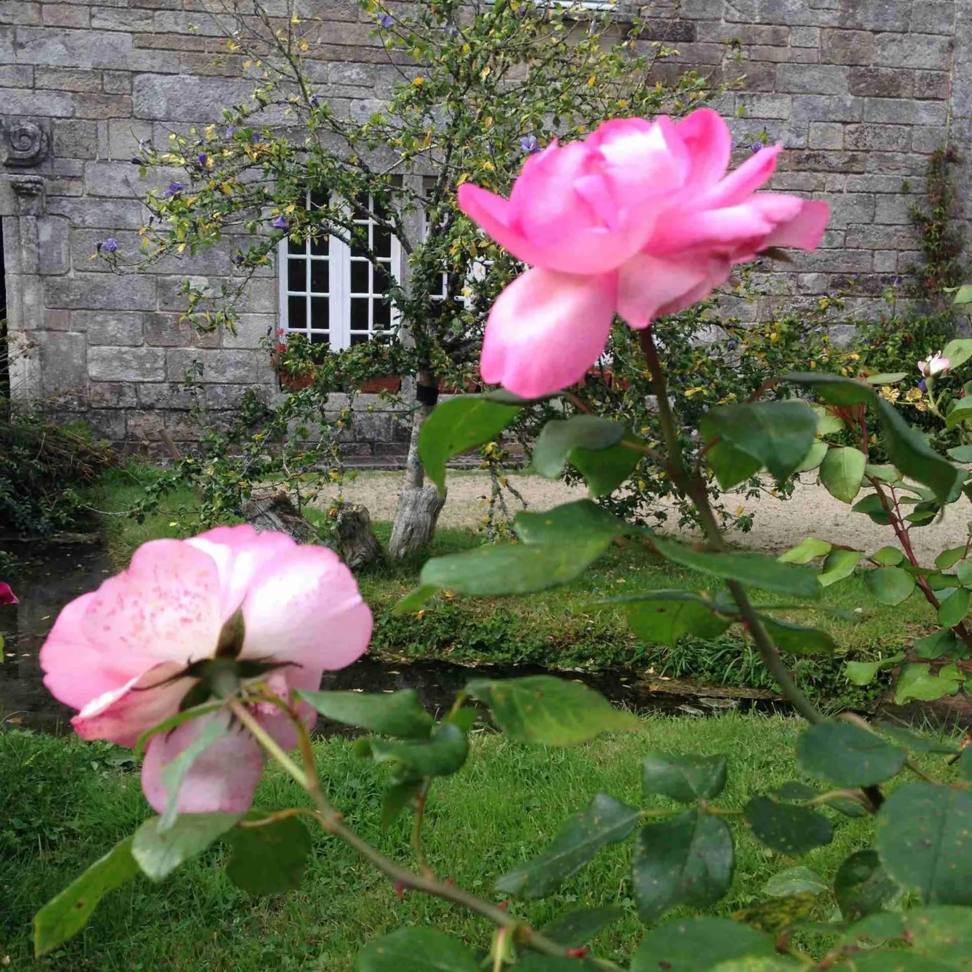 Garden in Manoir du Moustoir - Hôtel Les Empreintes