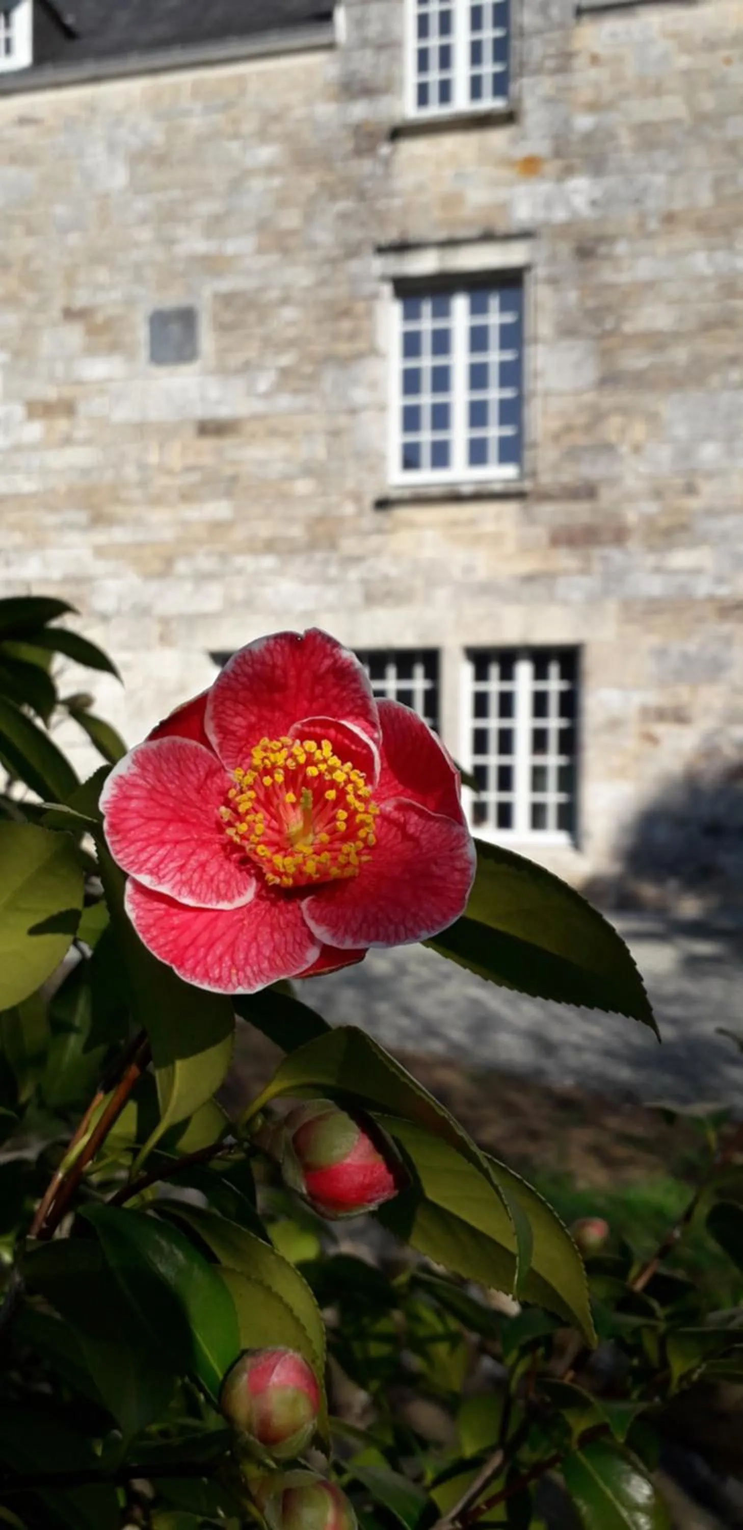 Garden in Manoir du Moustoir - Hôtel Les Empreintes