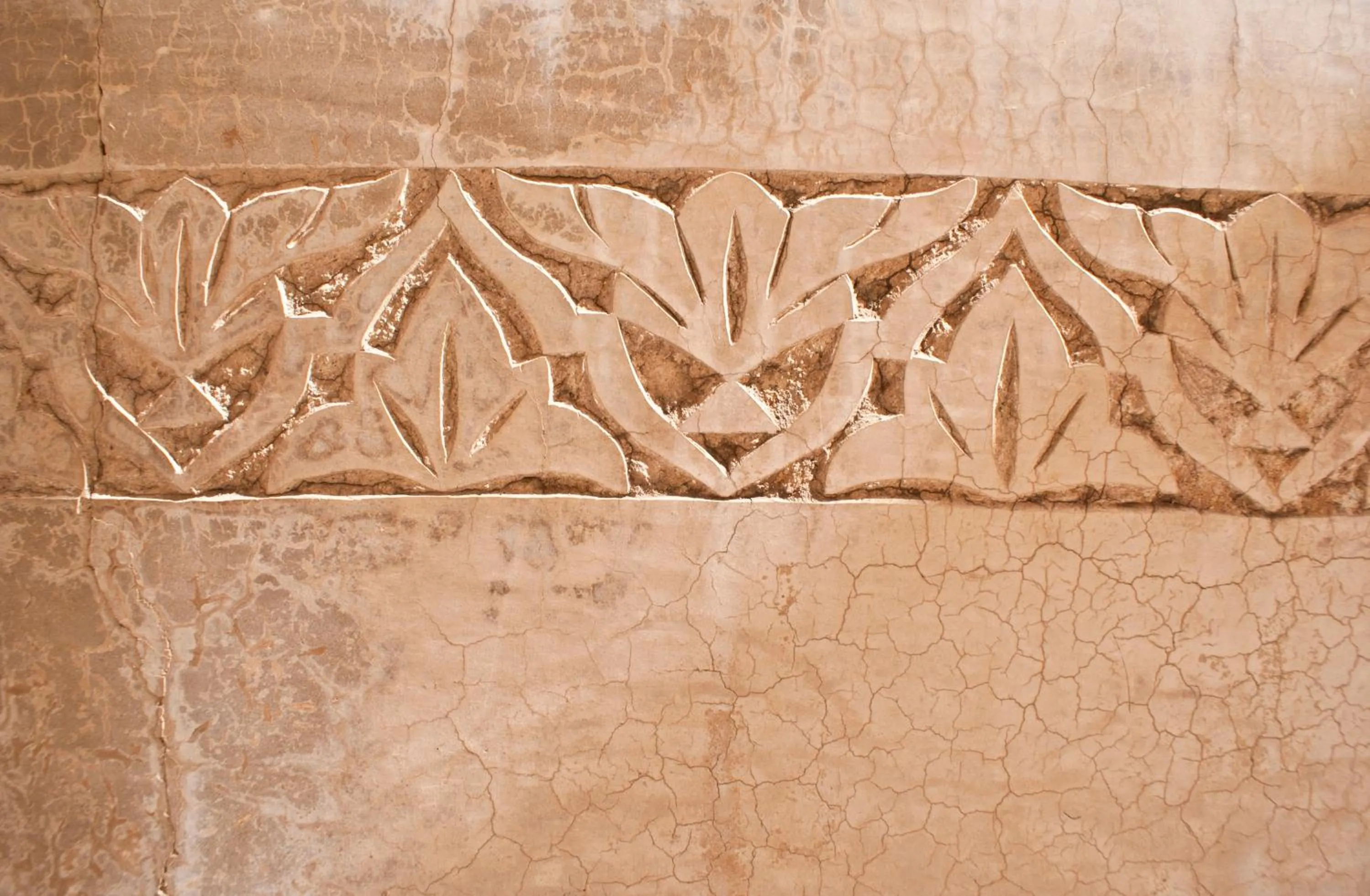 Facade/entrance in Riad Safa