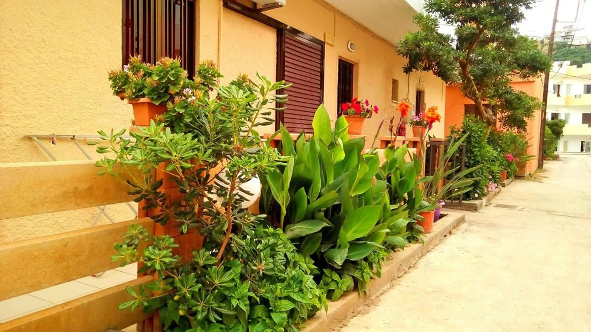Property building in Vaso Apartments