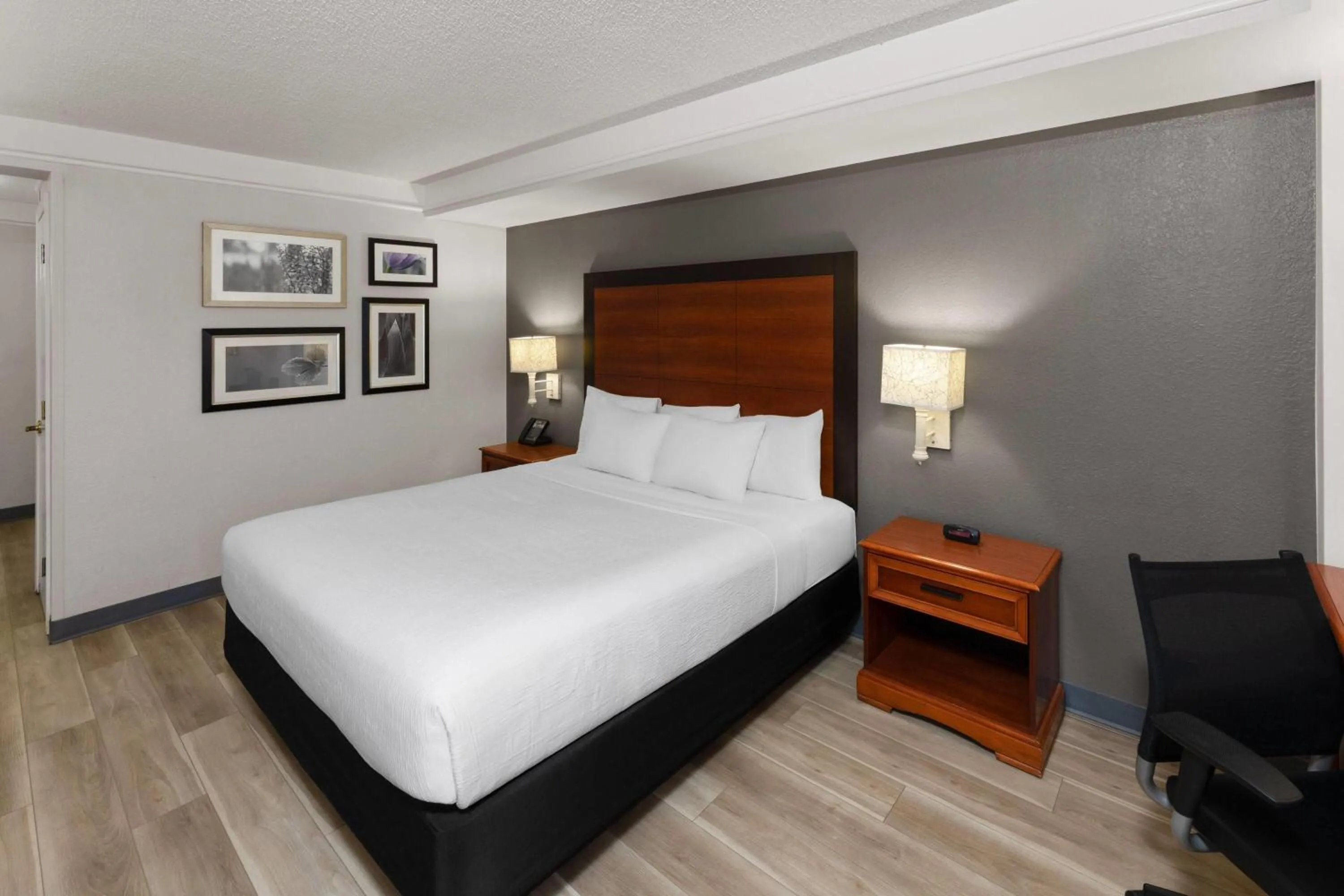 Photo of the whole room, Bed in La Quinta by Wyndham San Antonio Airport