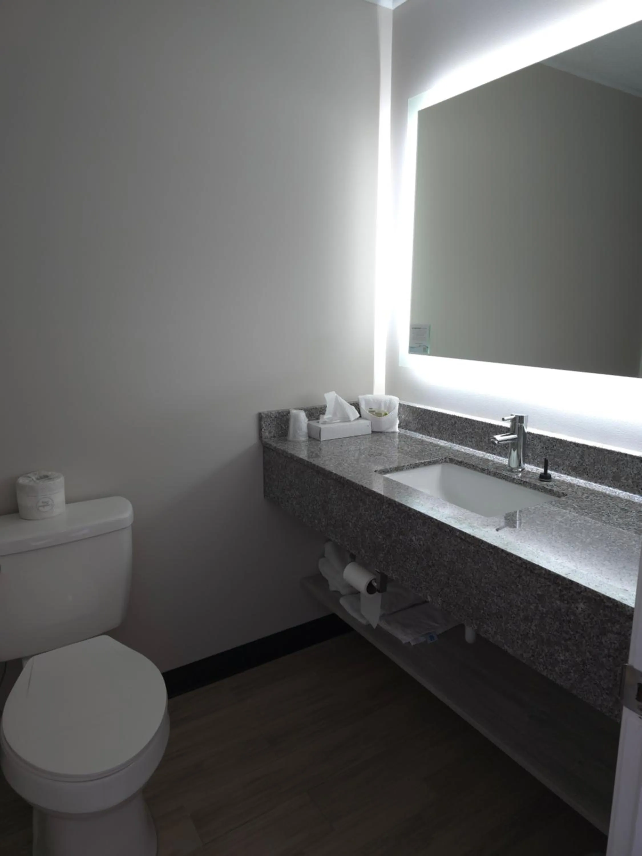 Toilet in Days Inn and Suites by Wyndham Port Huron