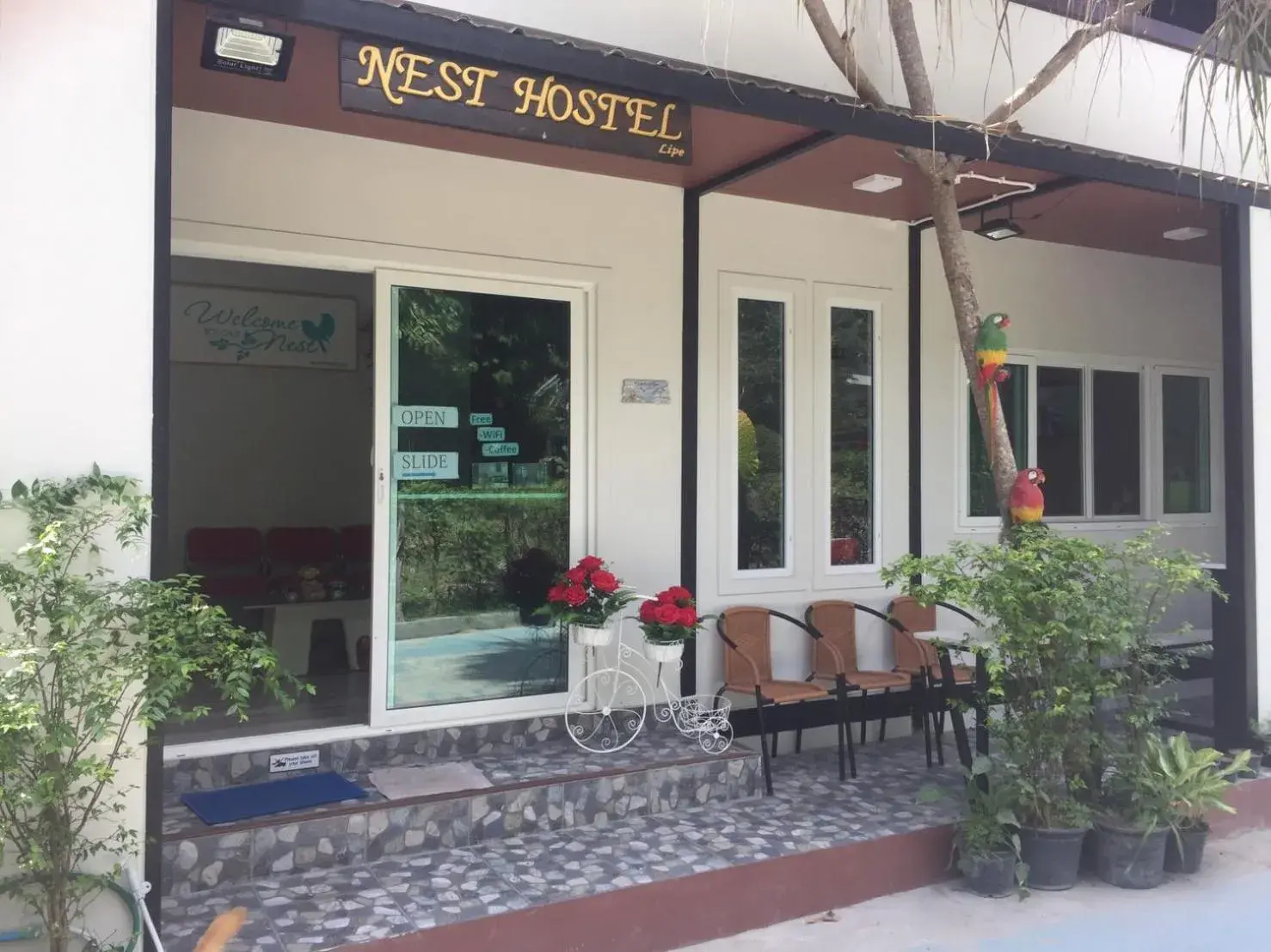 Nest hostel lipe Nest hostel lipe