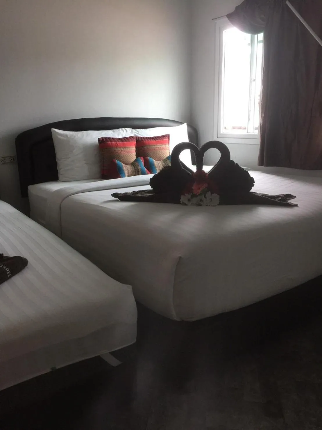 Nest hostel lipe