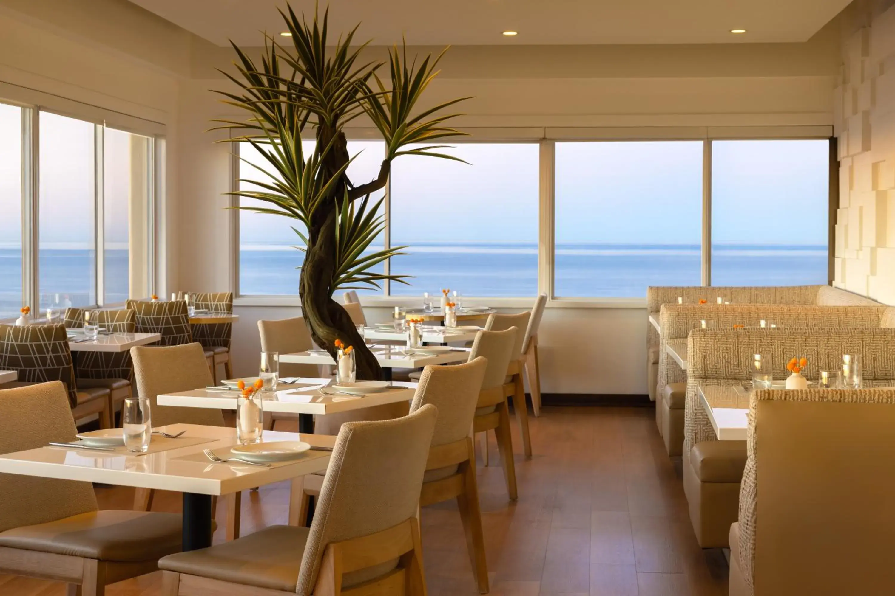 Restaurant/places to eat in Huntley Santa Monica Beach Restaurant/places to eat in Huntley Santa Monica Beach