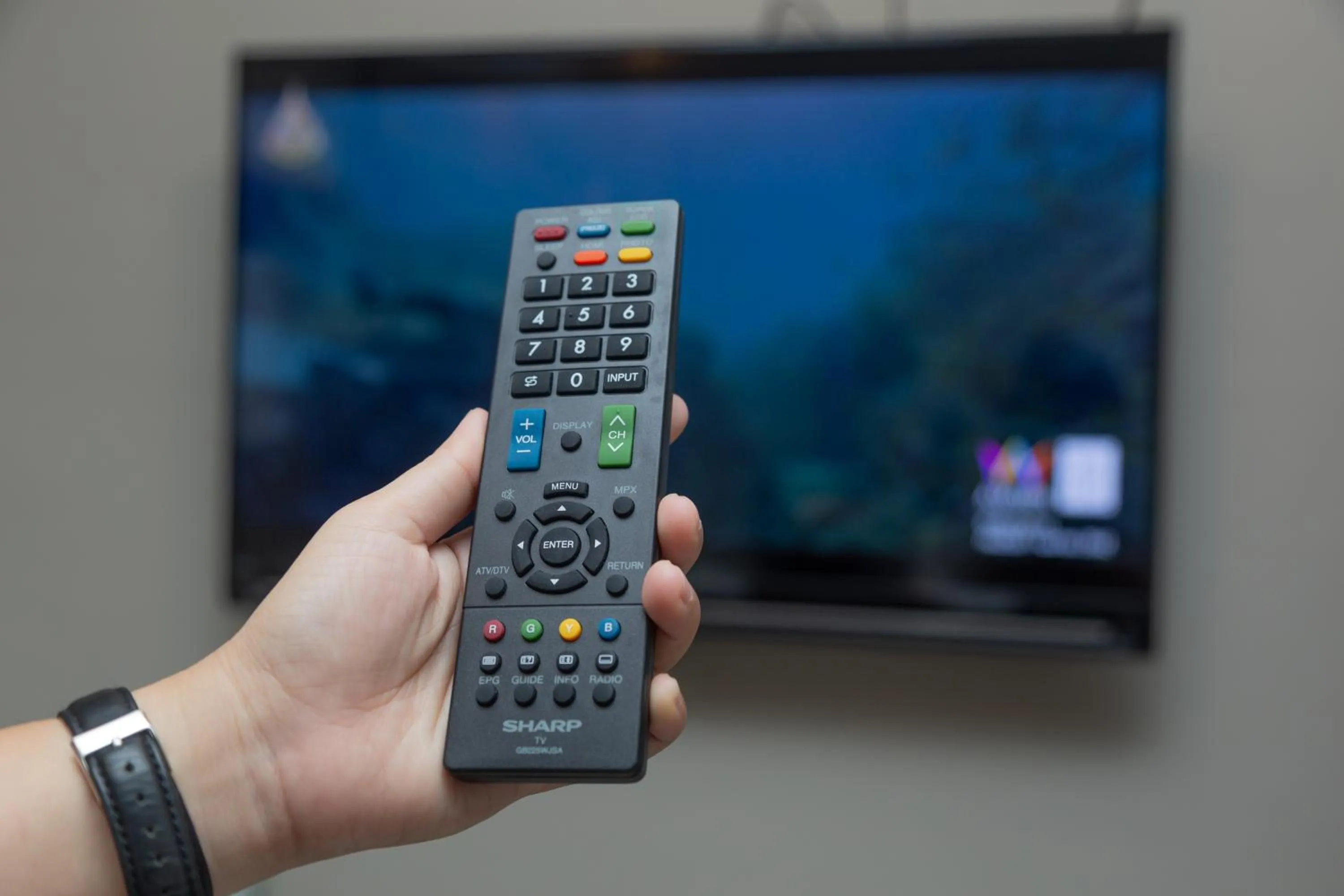 TV and multimedia in Life is Goood