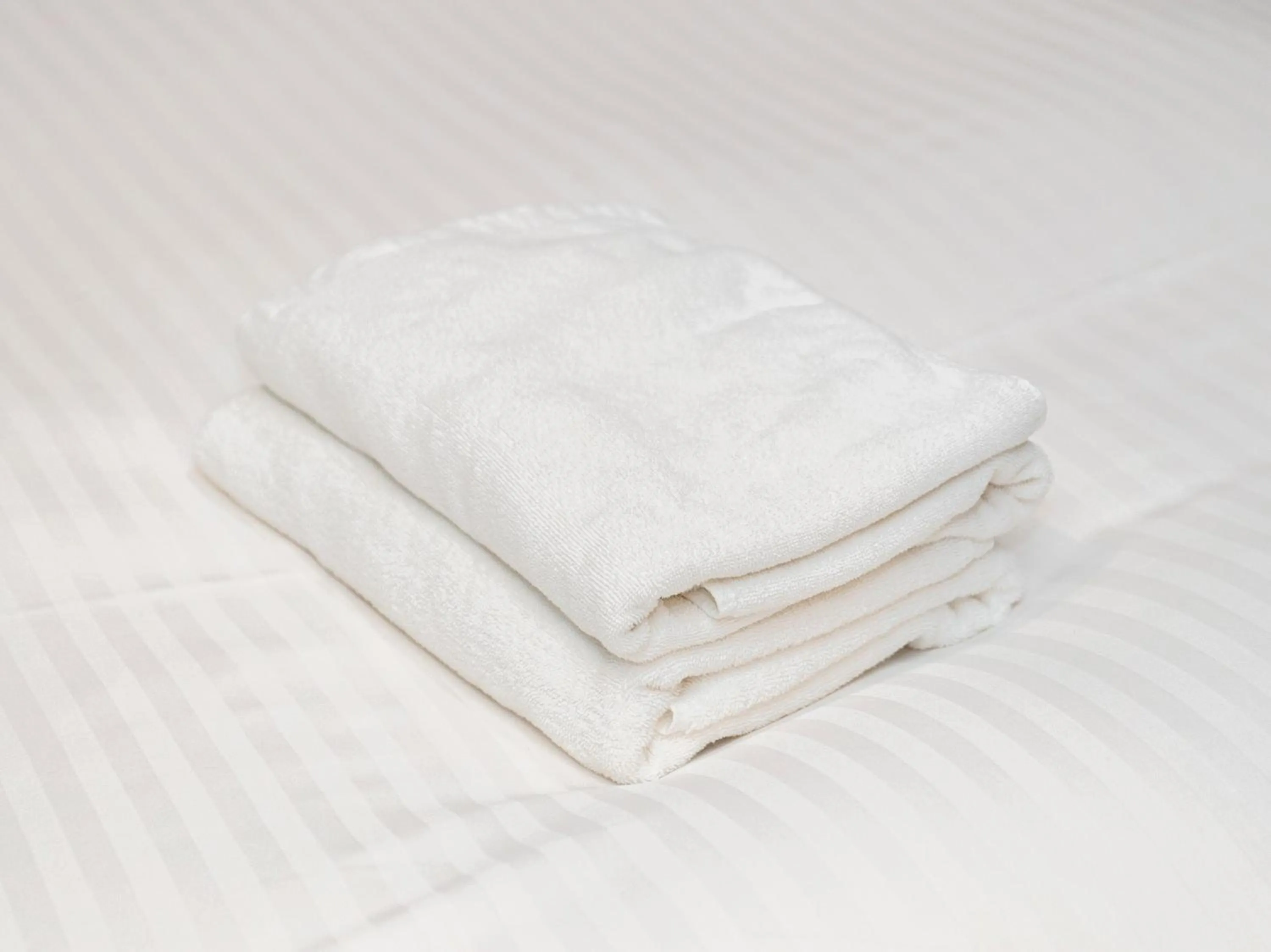 Photo of the whole room in Sutton Hotel Hakata City