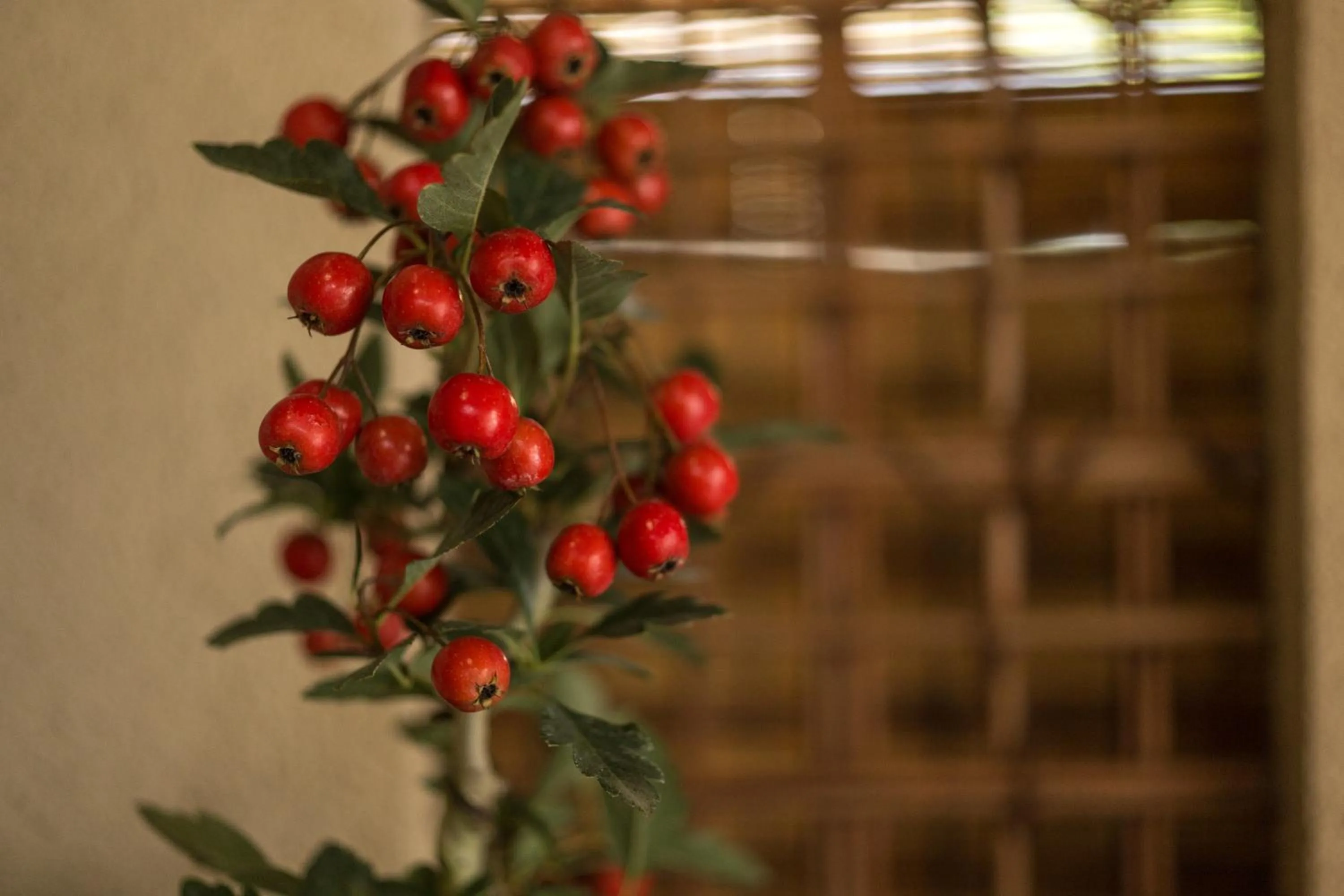 Property building in Kamuroan