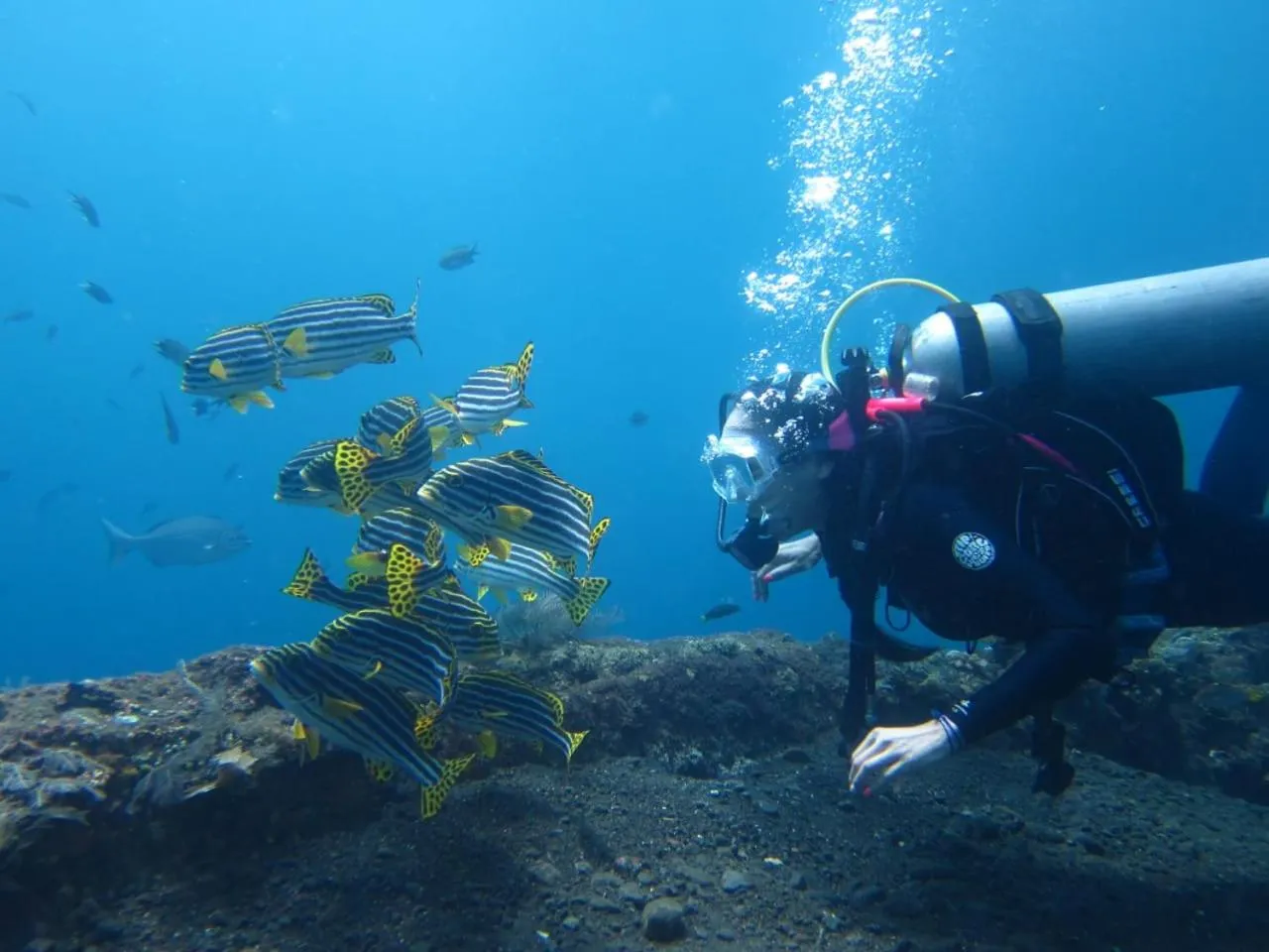 Diving in Bulih Beach Bungalows