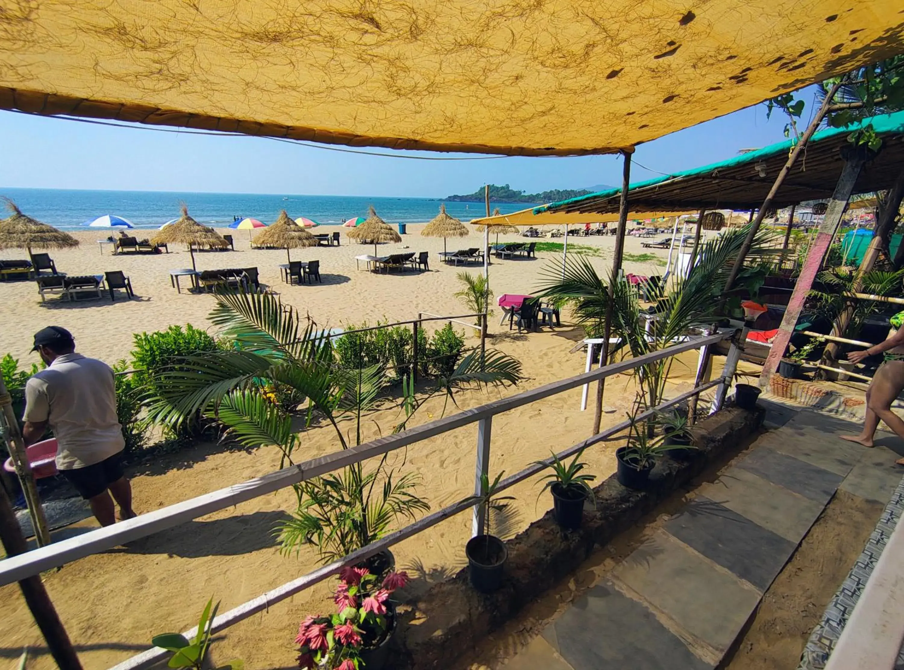 Mountain Palm patnem beach Mountain Palm patnem beach