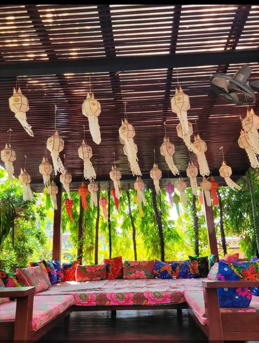 Garden view in Villa Thapae Garden view in Villa Thapae