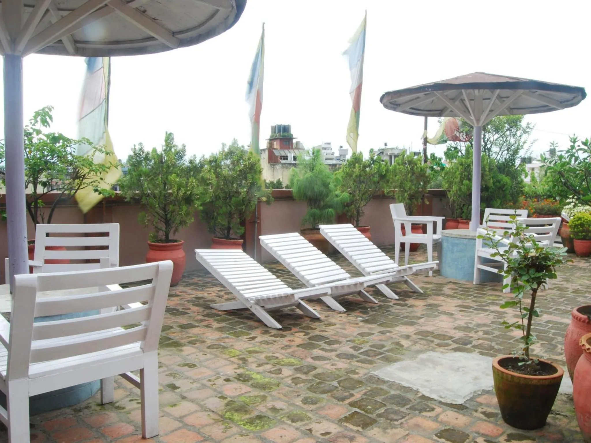 Garden in Potala Guest House