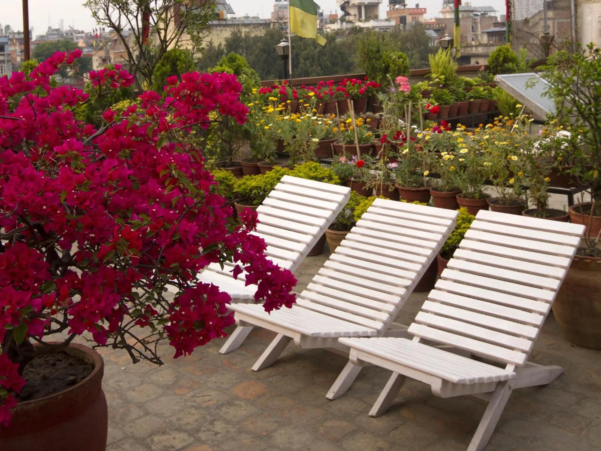 Garden in Potala Guest House