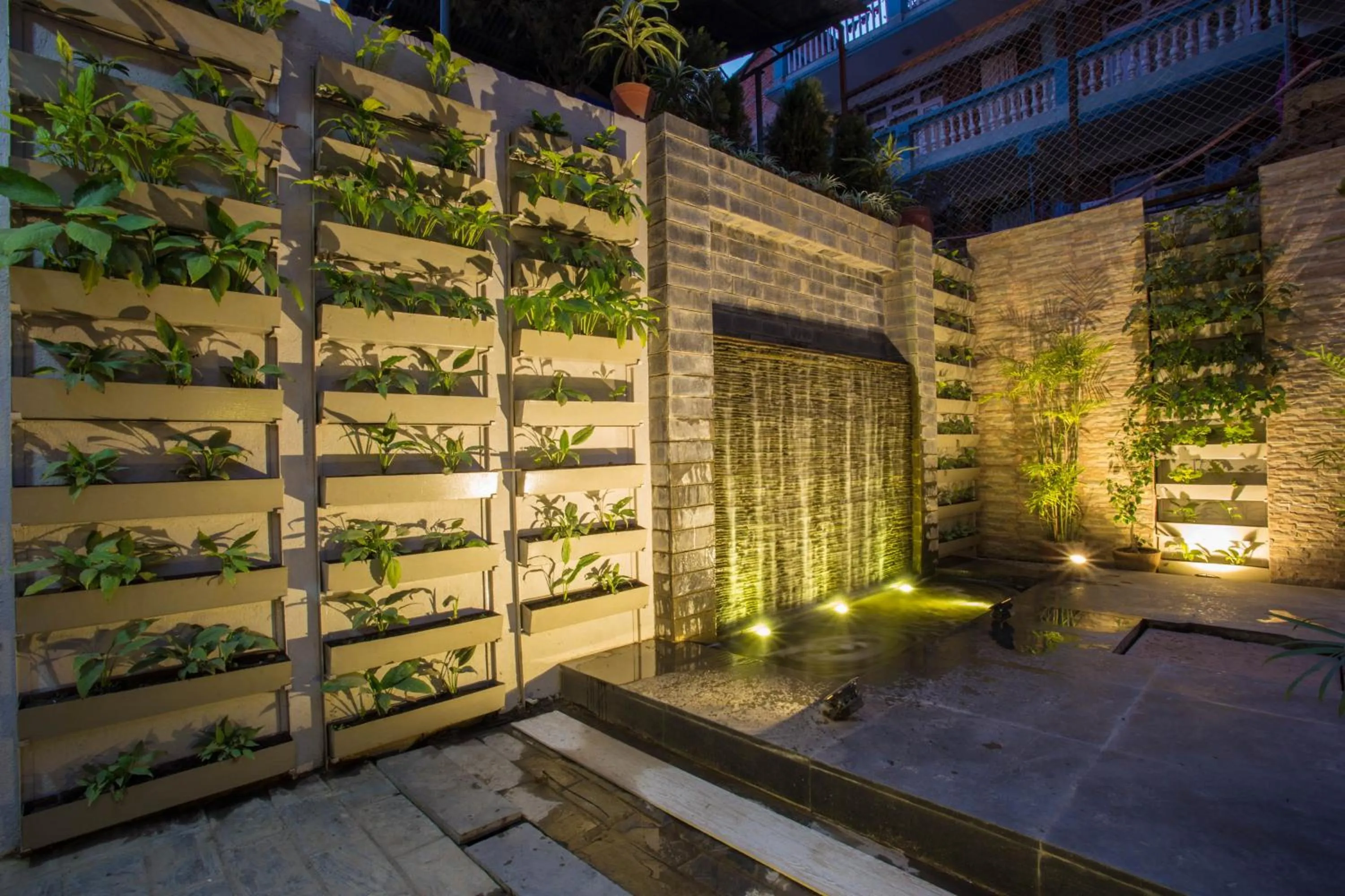 Garden in Potala Guest House