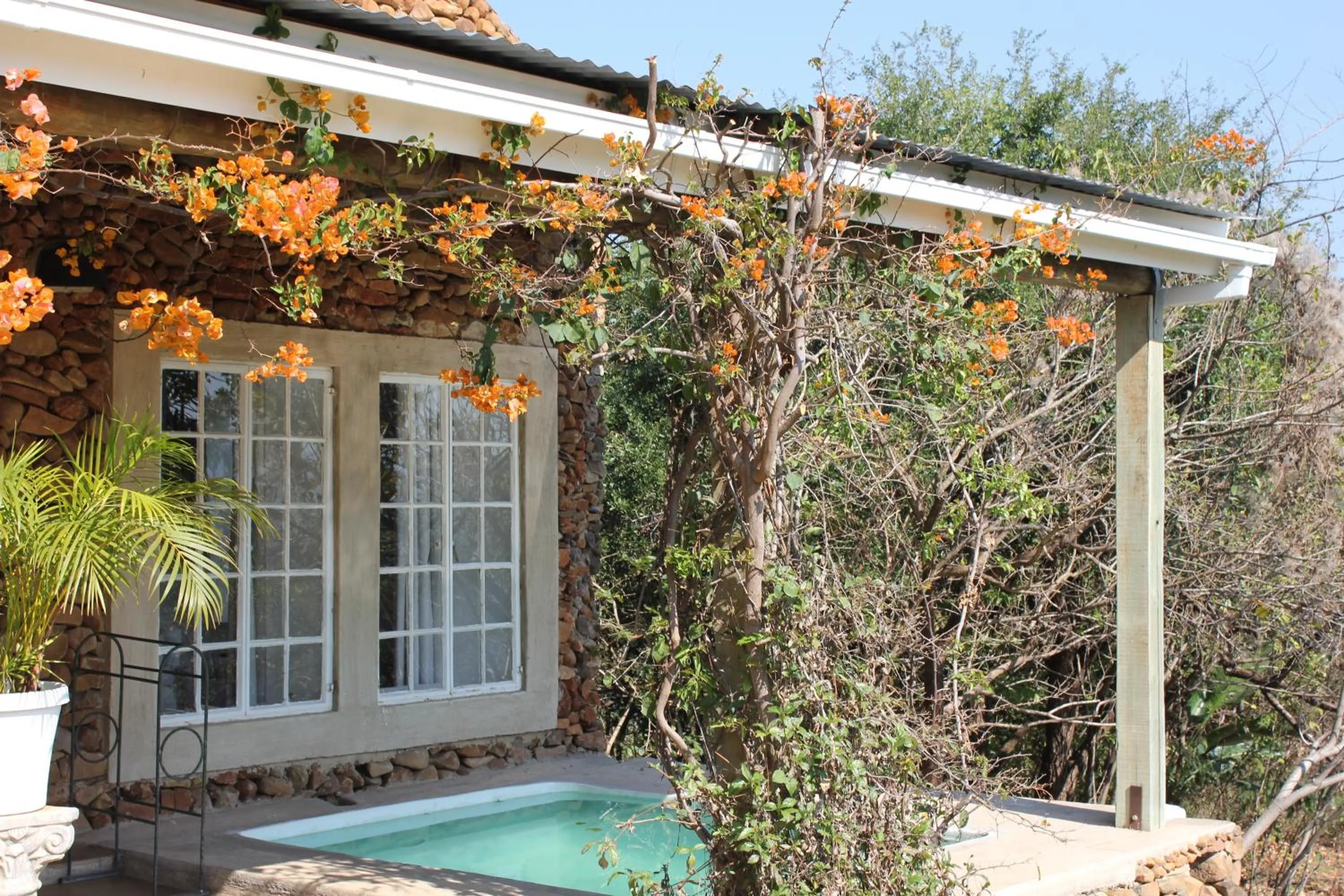 Pool view in Ashbourne Country Escape Hazyview