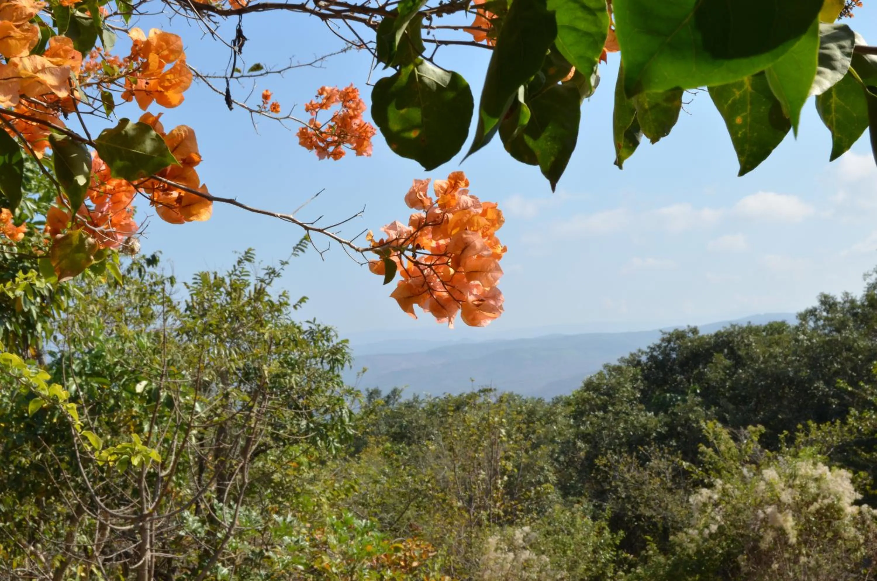 Garden view in Ashbourne Country Escape Hazyview