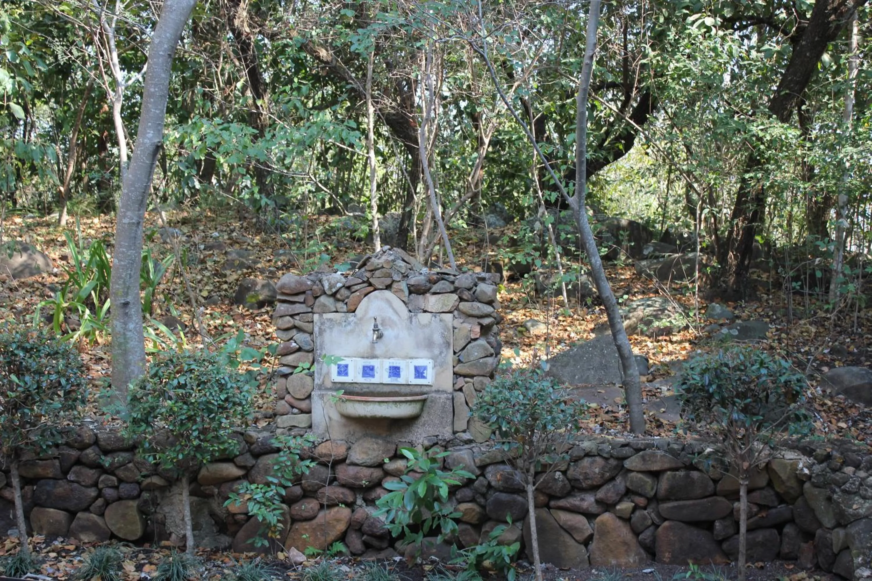 Garden in Ashbourne Country Escape Hazyview