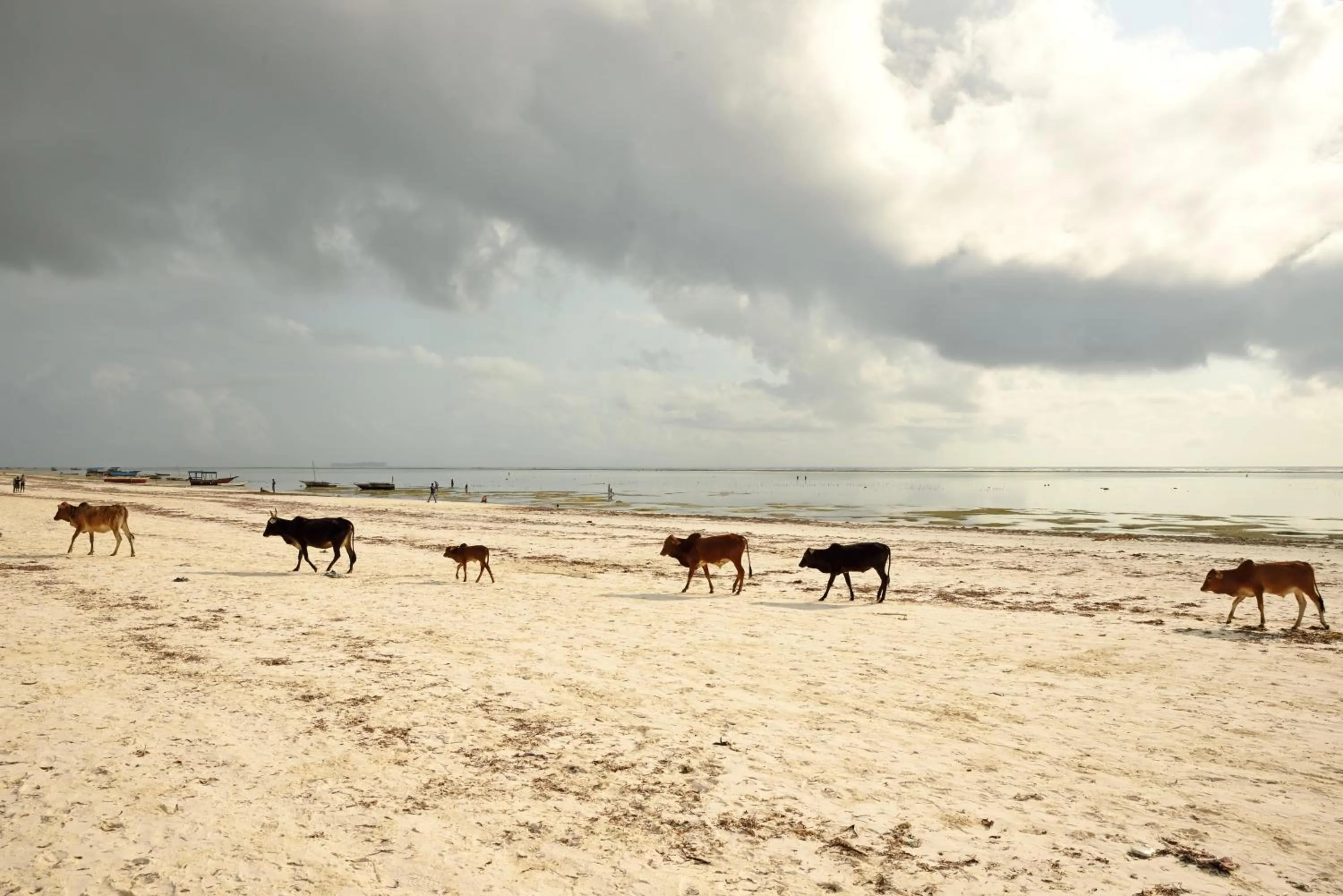 Beach in Villa Kiva Boutique Hotel