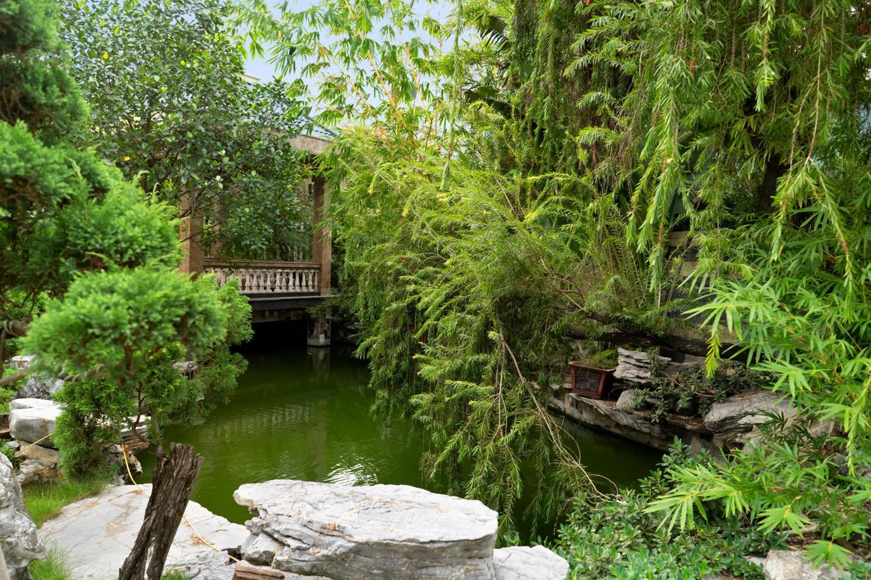 Garden view in Phuong Anh Hotel 1 Hai Duong