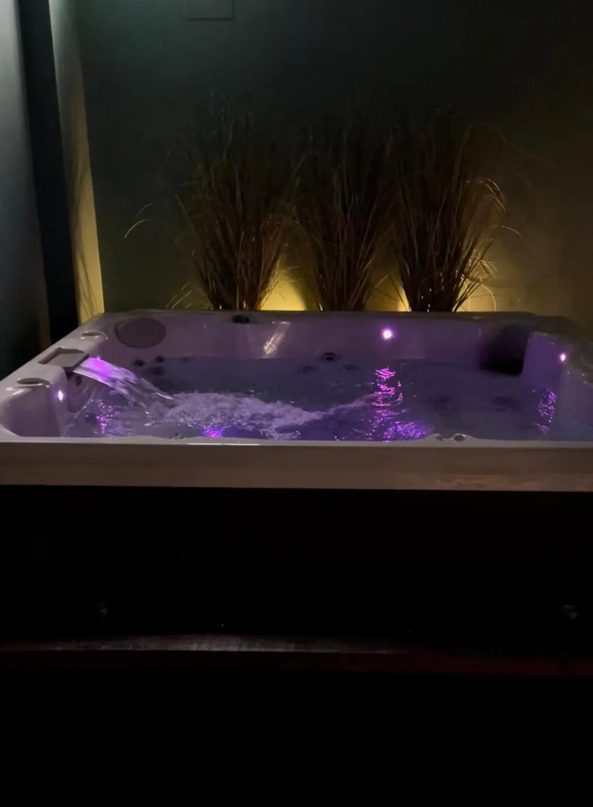 Spa and wellness centre/facilities in Casale Torre San Magno