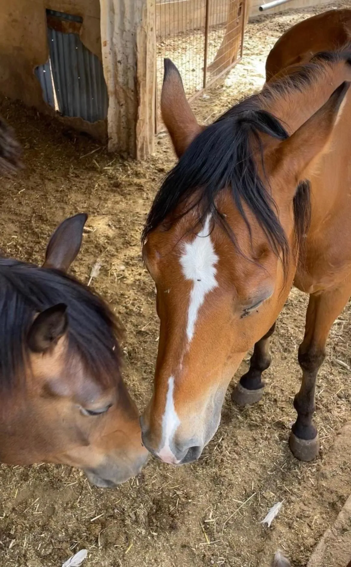Casale Torre San Magno