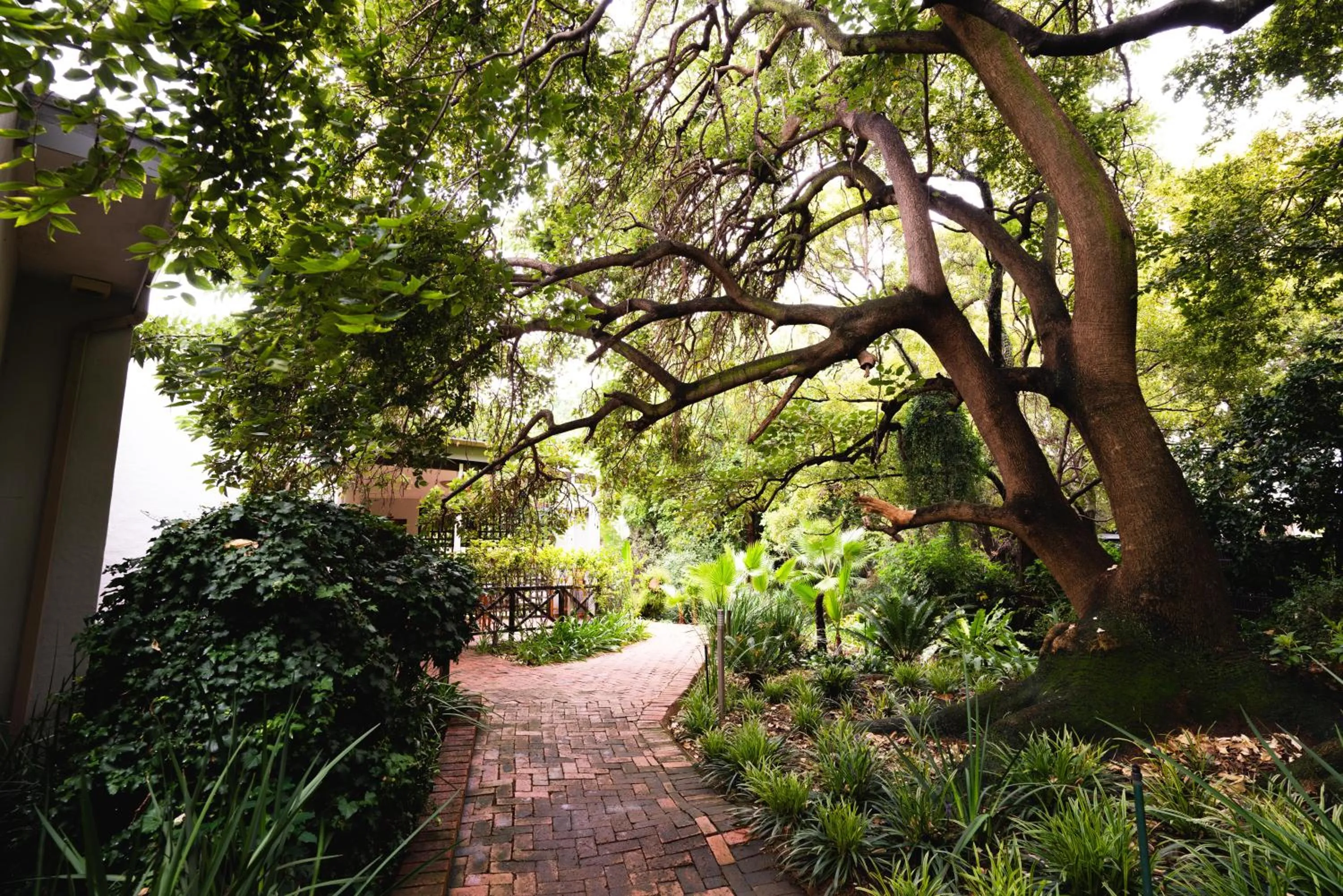 Natural landscape in Village Ridge Stays