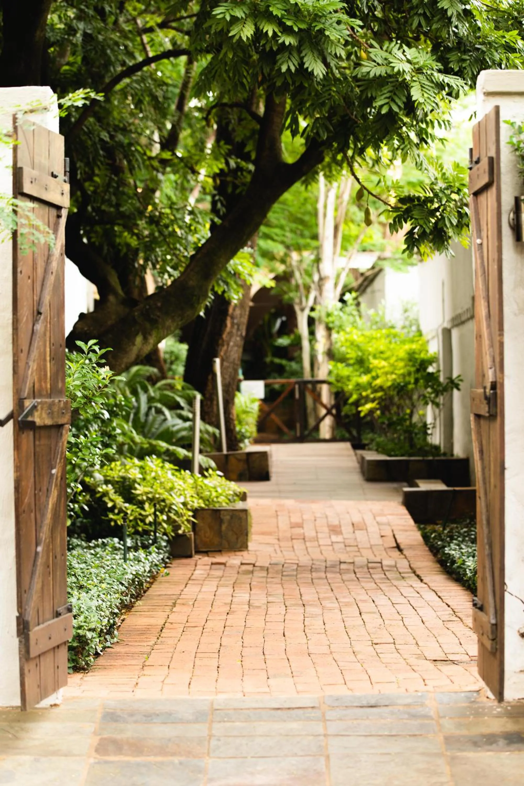 Garden in Village Ridge Stays