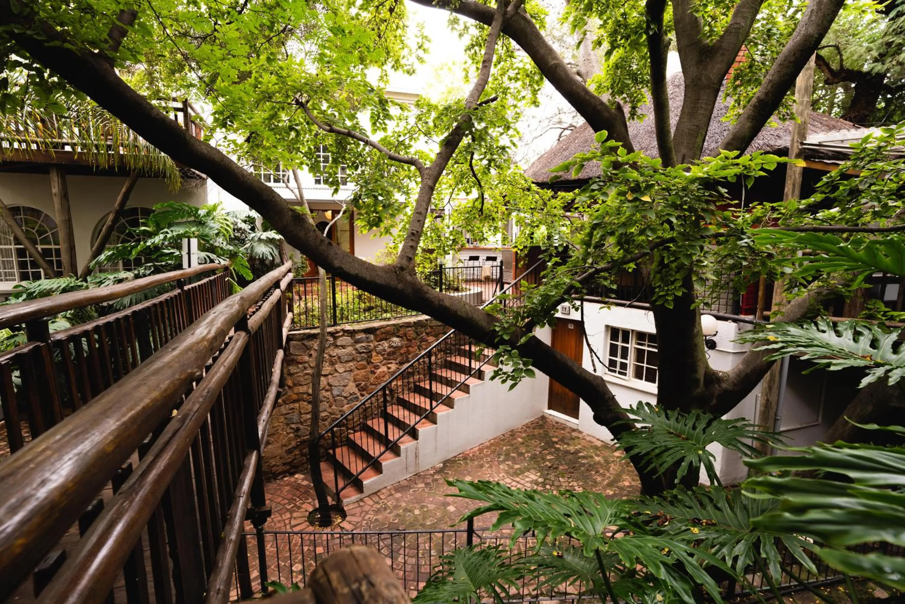 Garden in Village Ridge Stays