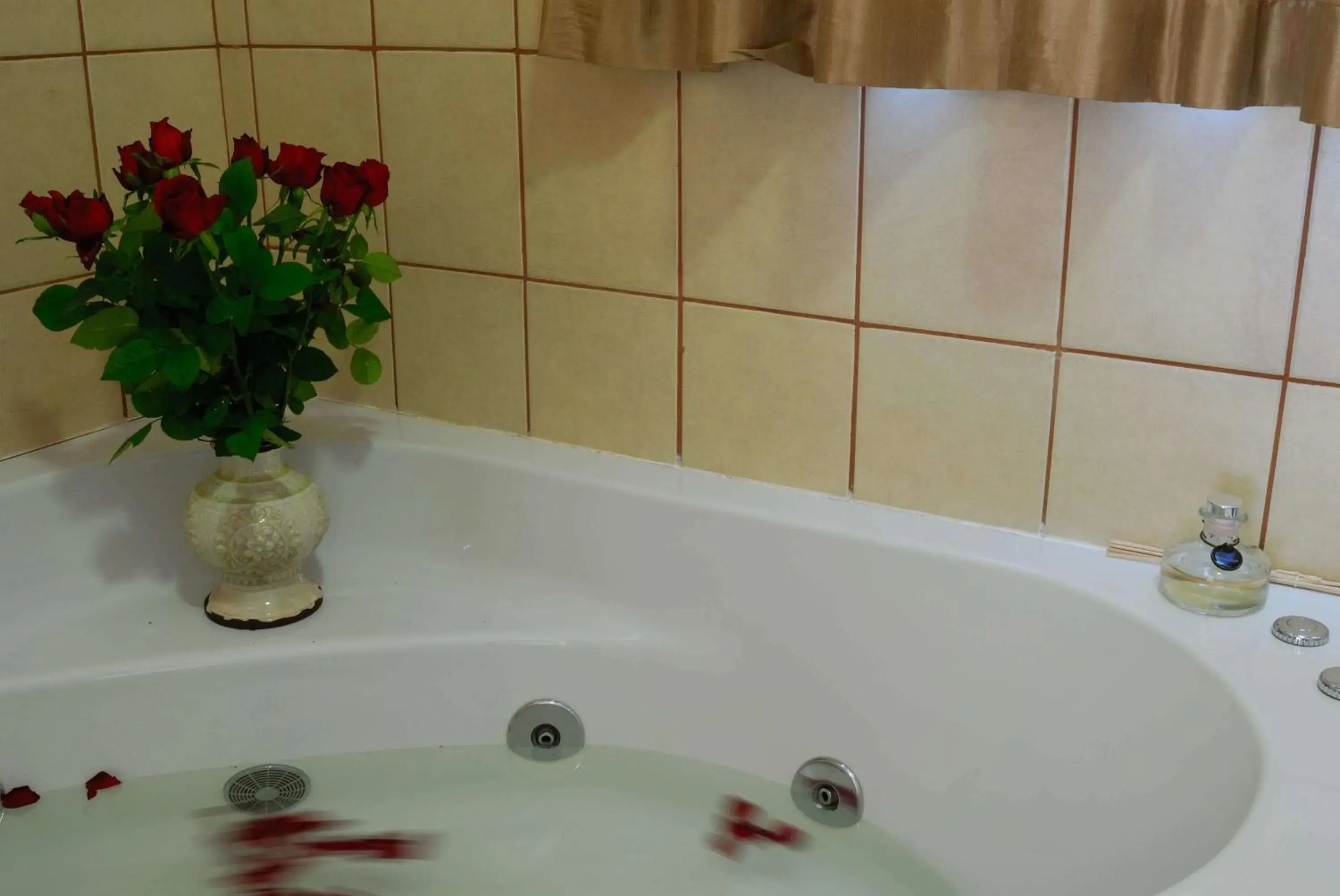King Room with Spa Bath in Cycas Guest House King Room with Spa Bath in Cycas Guest House