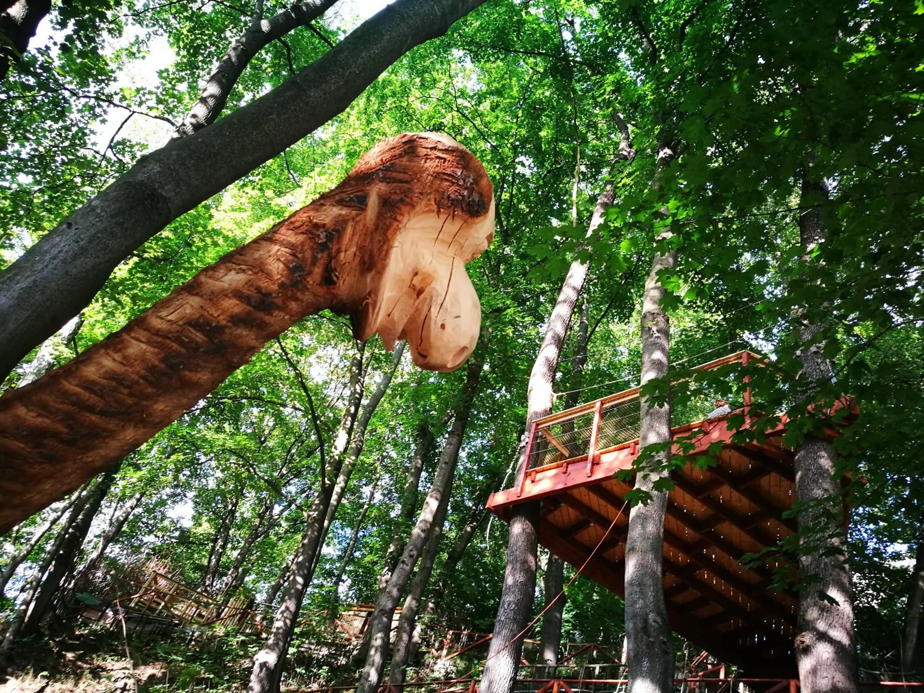 Garden in Apartmá SunGarden Liberec