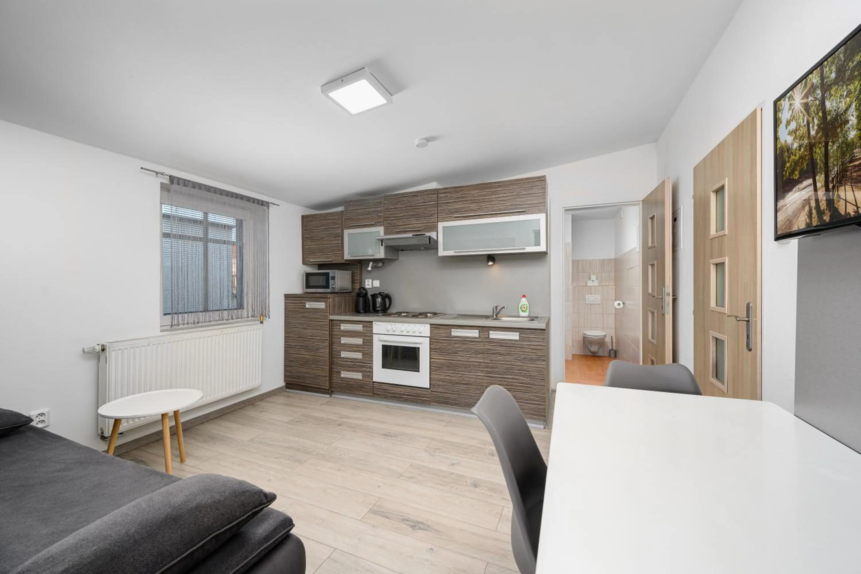 TV and multimedia in Apartmá SunGarden Liberec