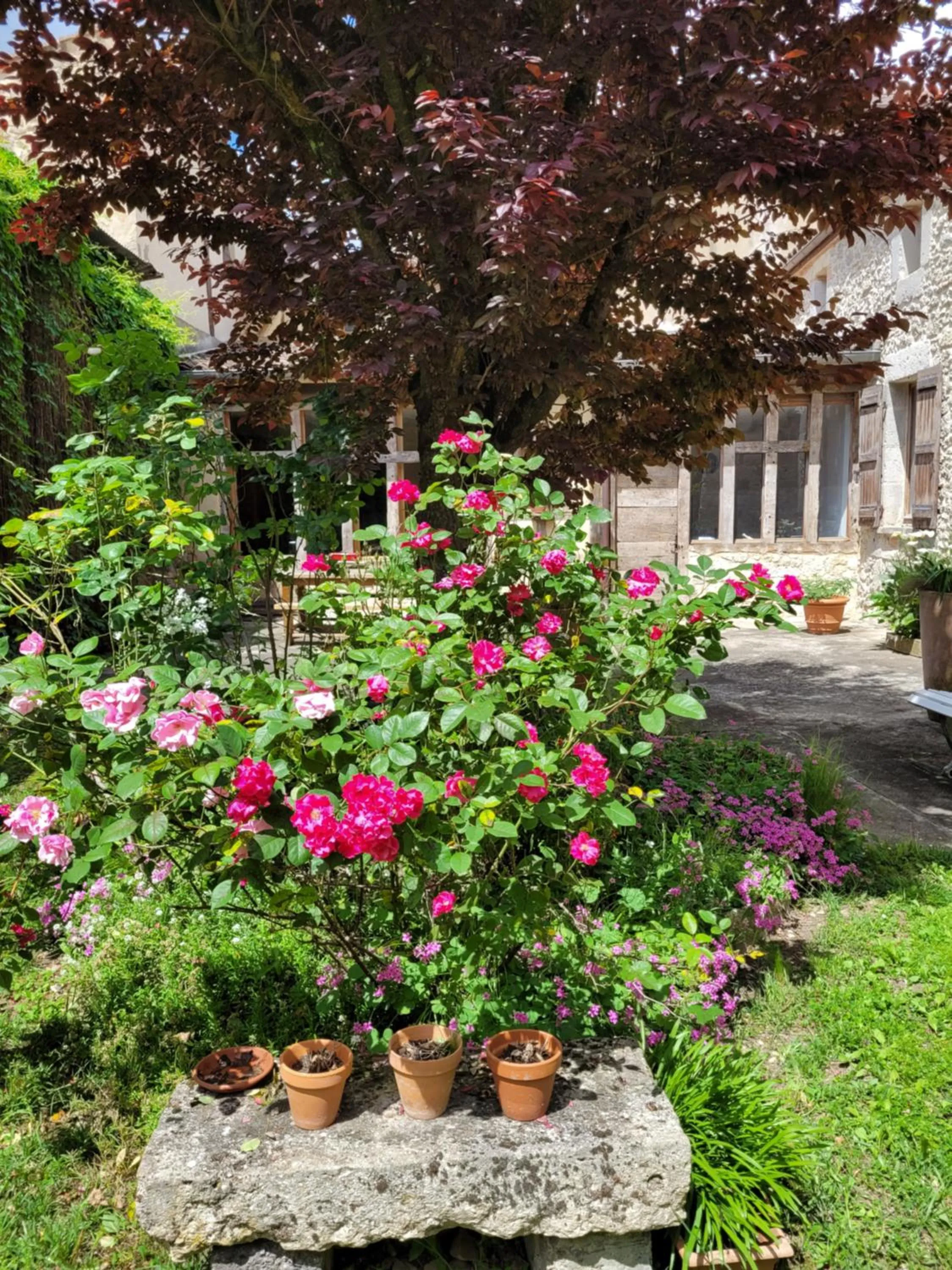 Garden in Chambre d'Hôtes La Tour de Brazalem