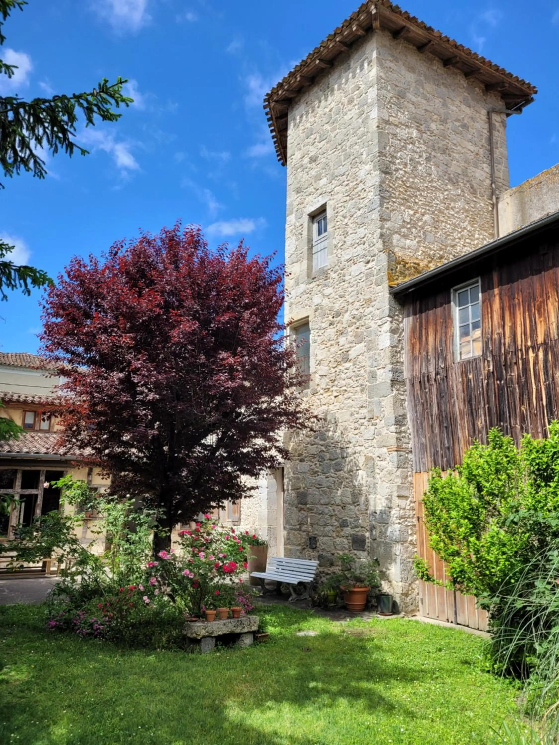 Garden in Chambre d'Hôtes La Tour de Brazalem