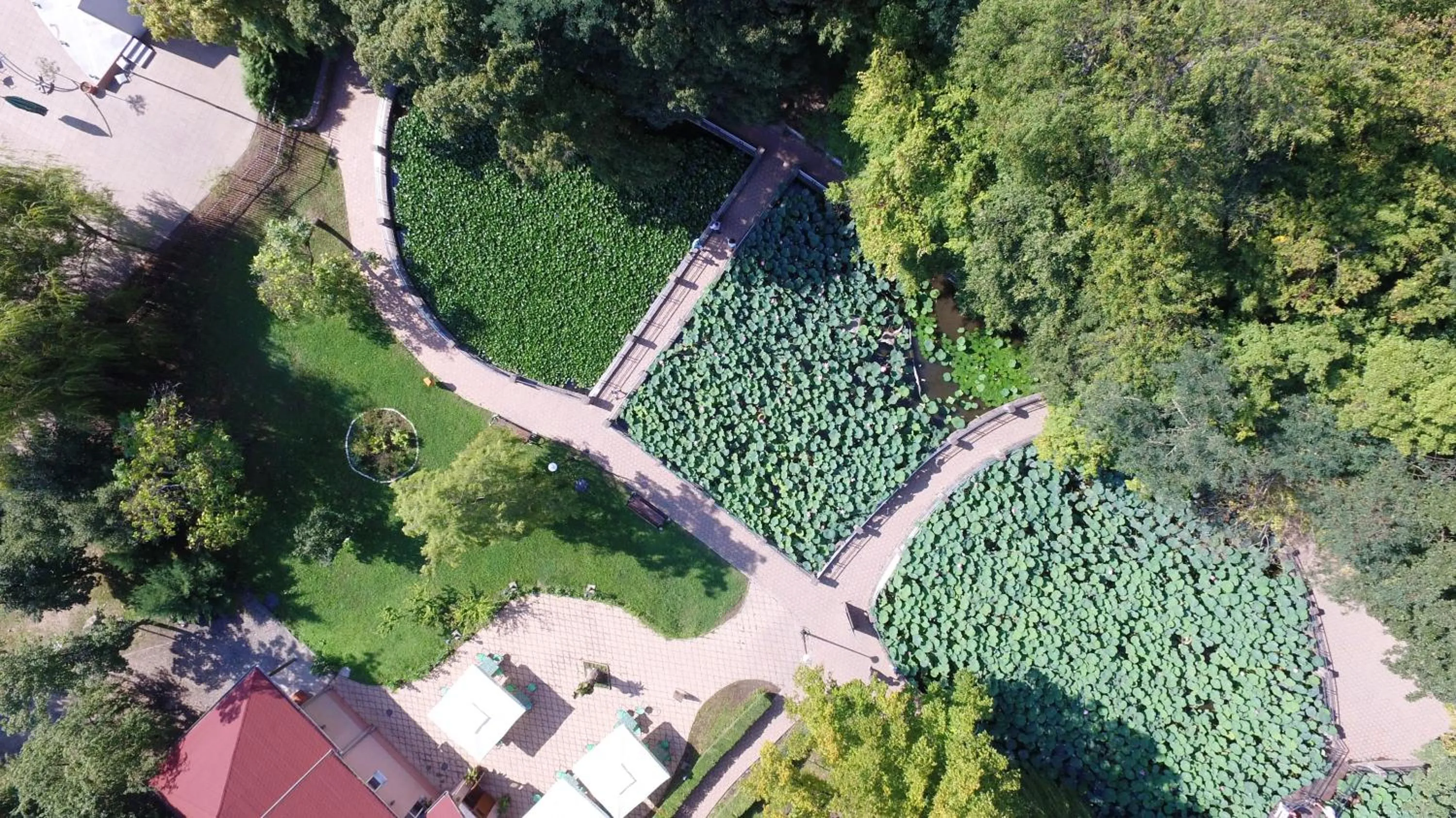 Natural landscape in Vila Carlos