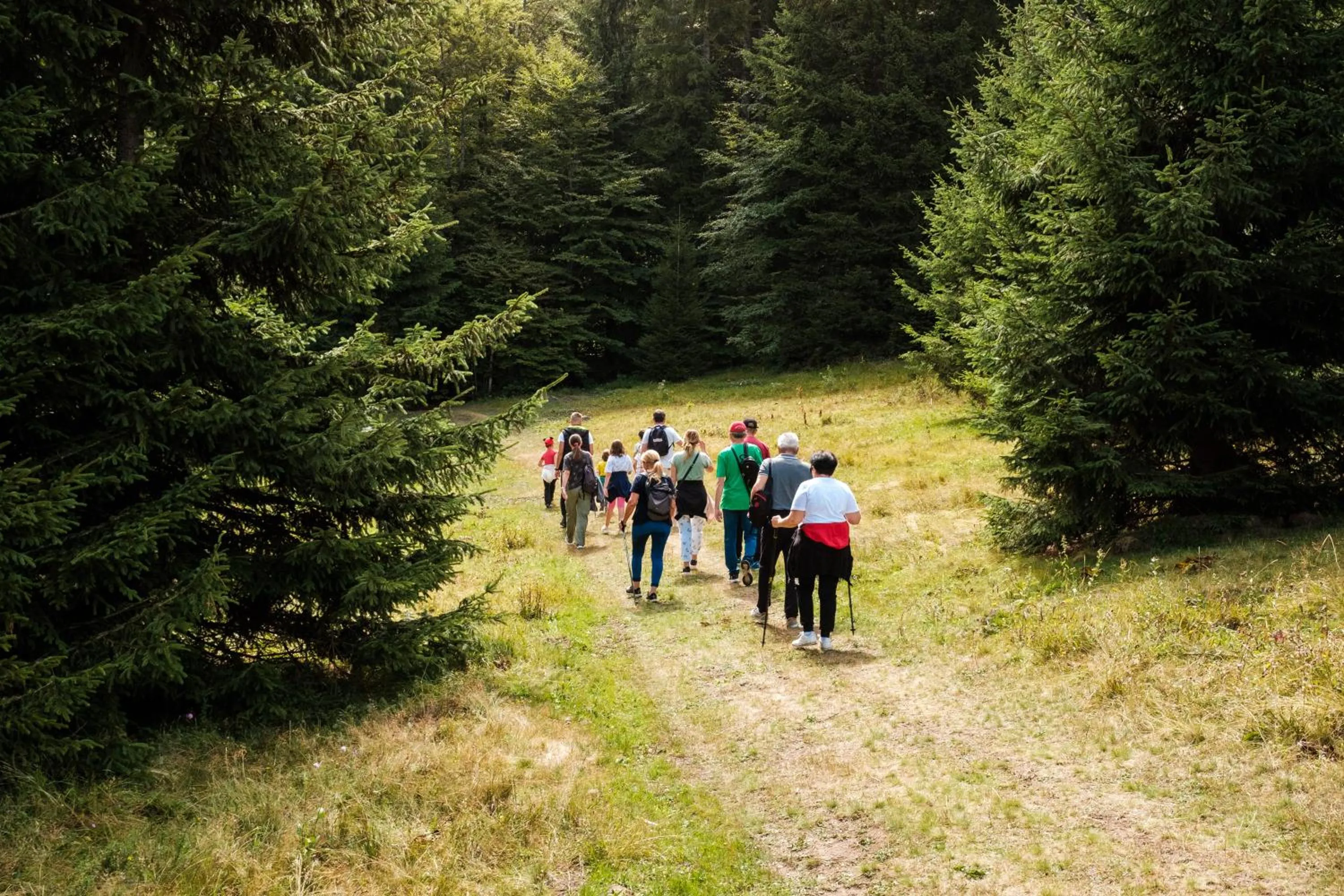 Neighbourhood in Hotel Kraljevi Čardaci