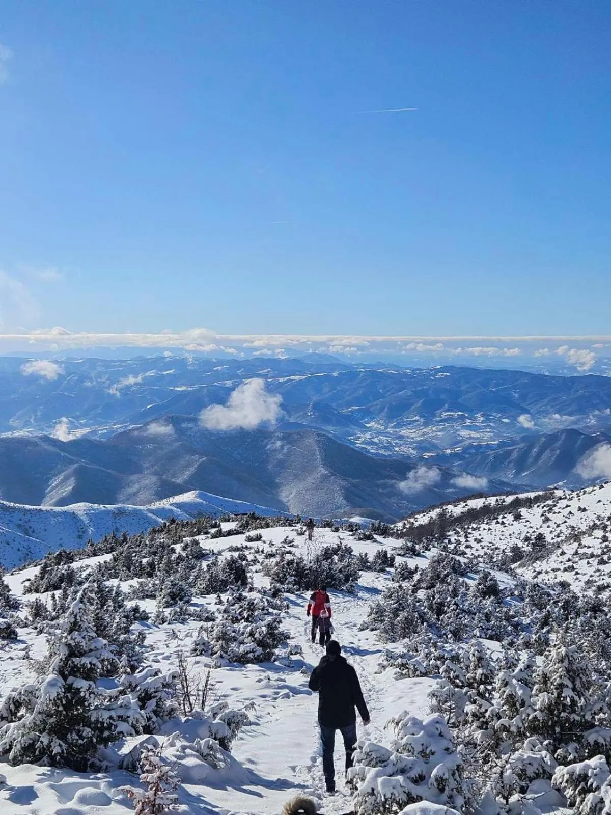 Neighbourhood in Hotel Kraljevi Čardaci