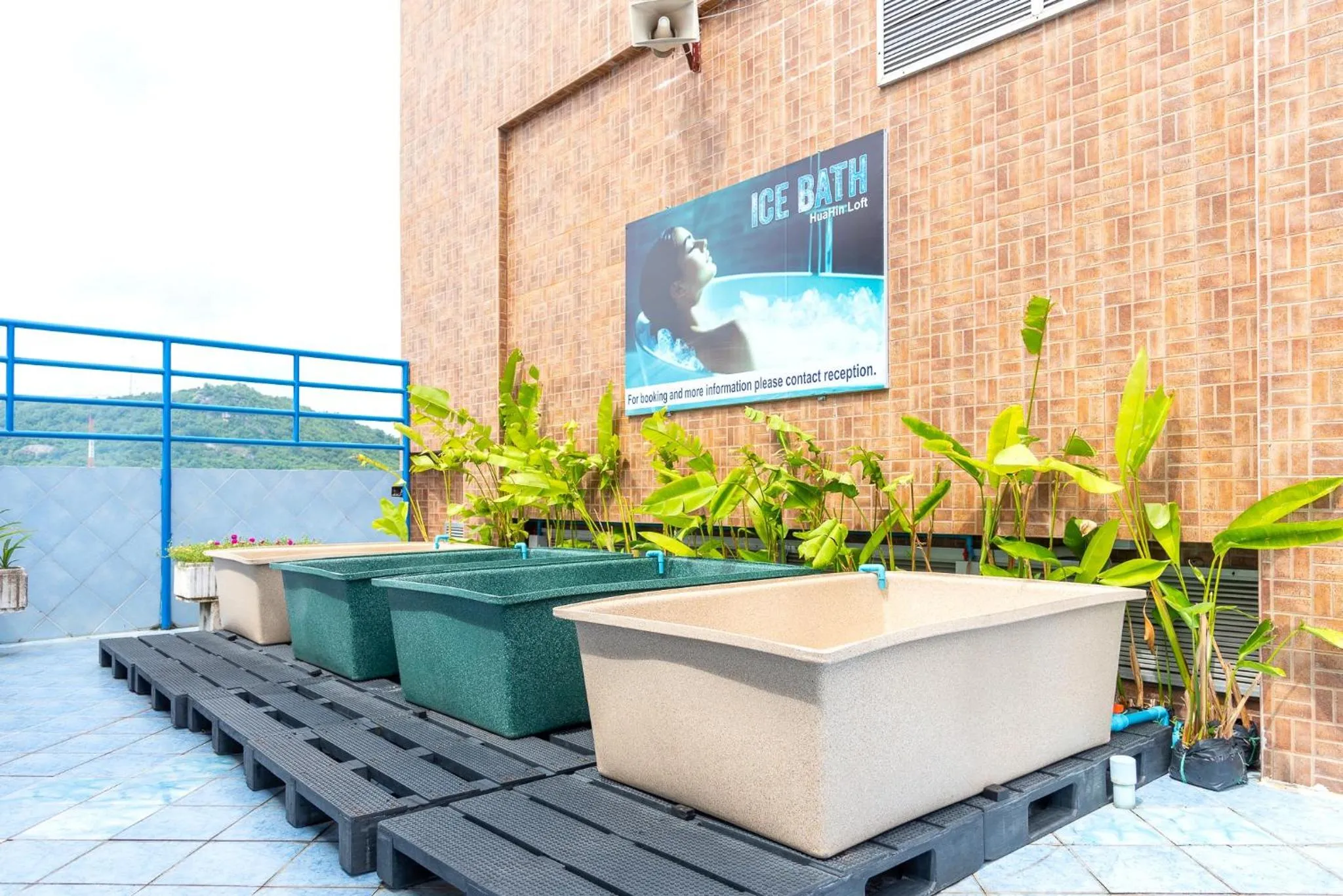 Garden in Hua Hin Loft