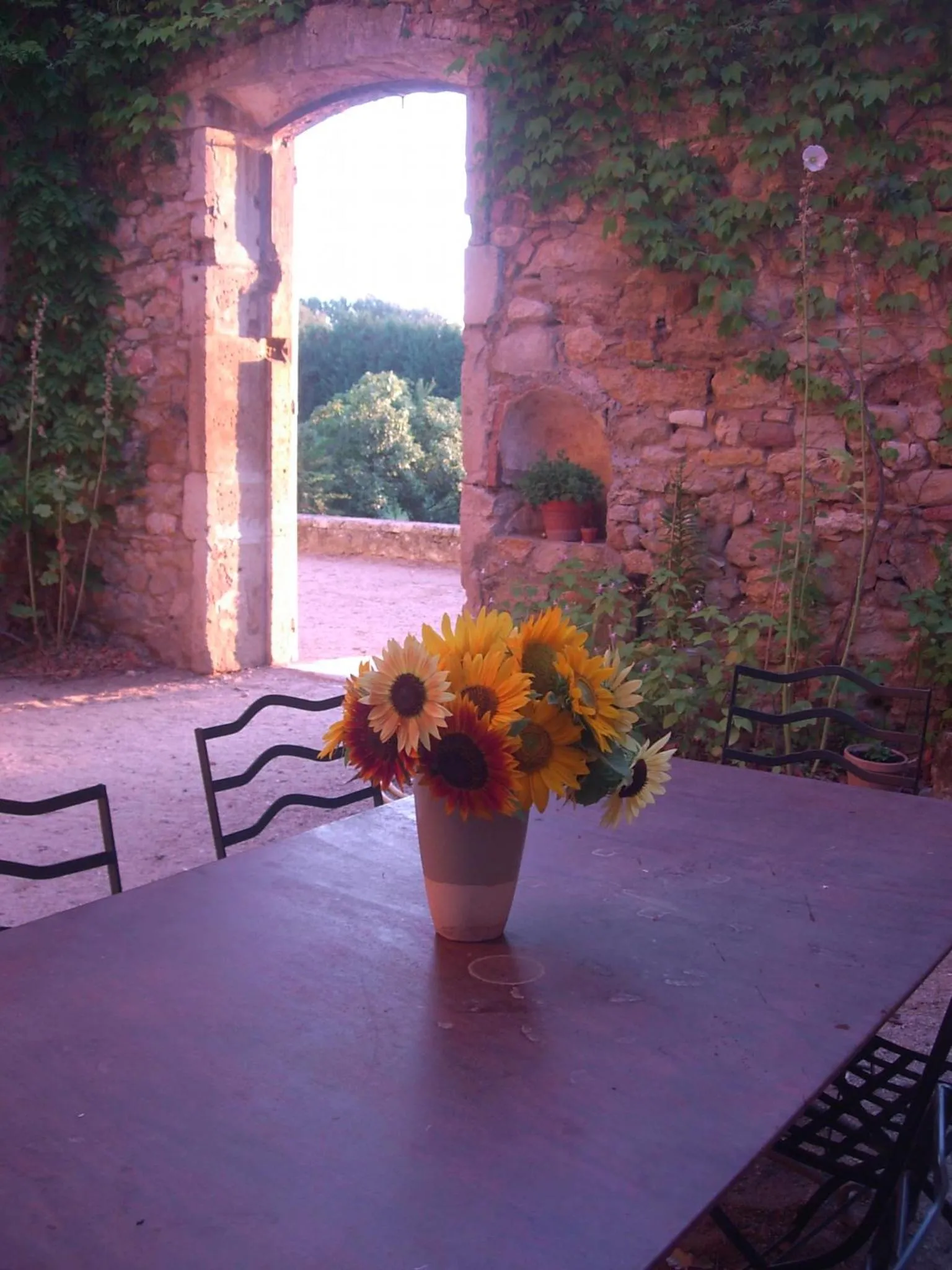 Garden view in Domaine de Lamartine