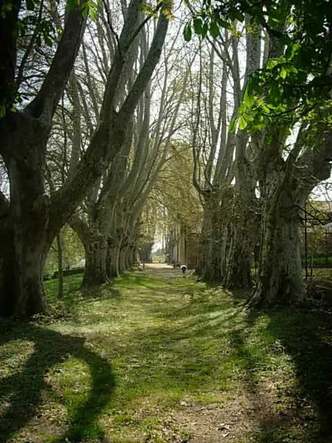 Garden view in Domaine de Lamartine