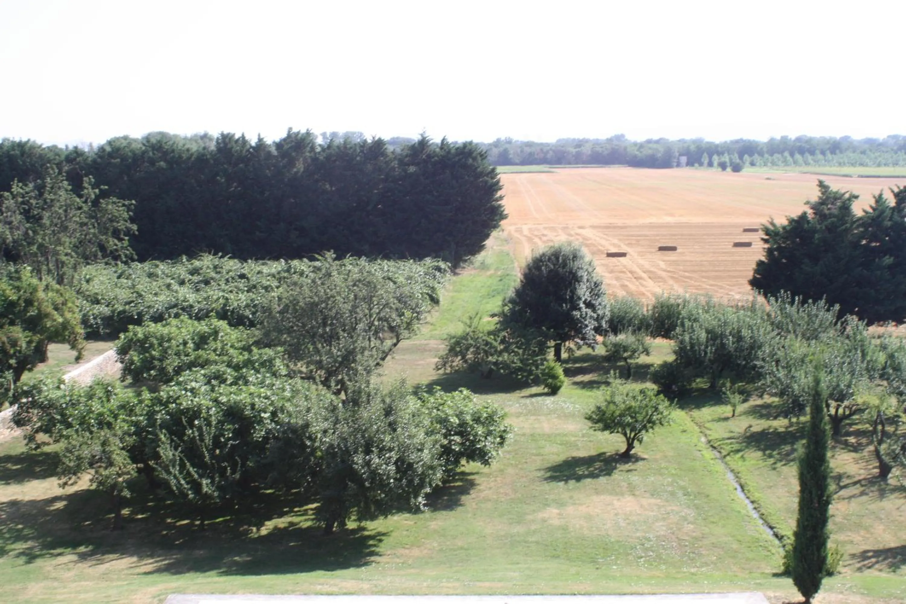 Garden in Domaine de Lamartine