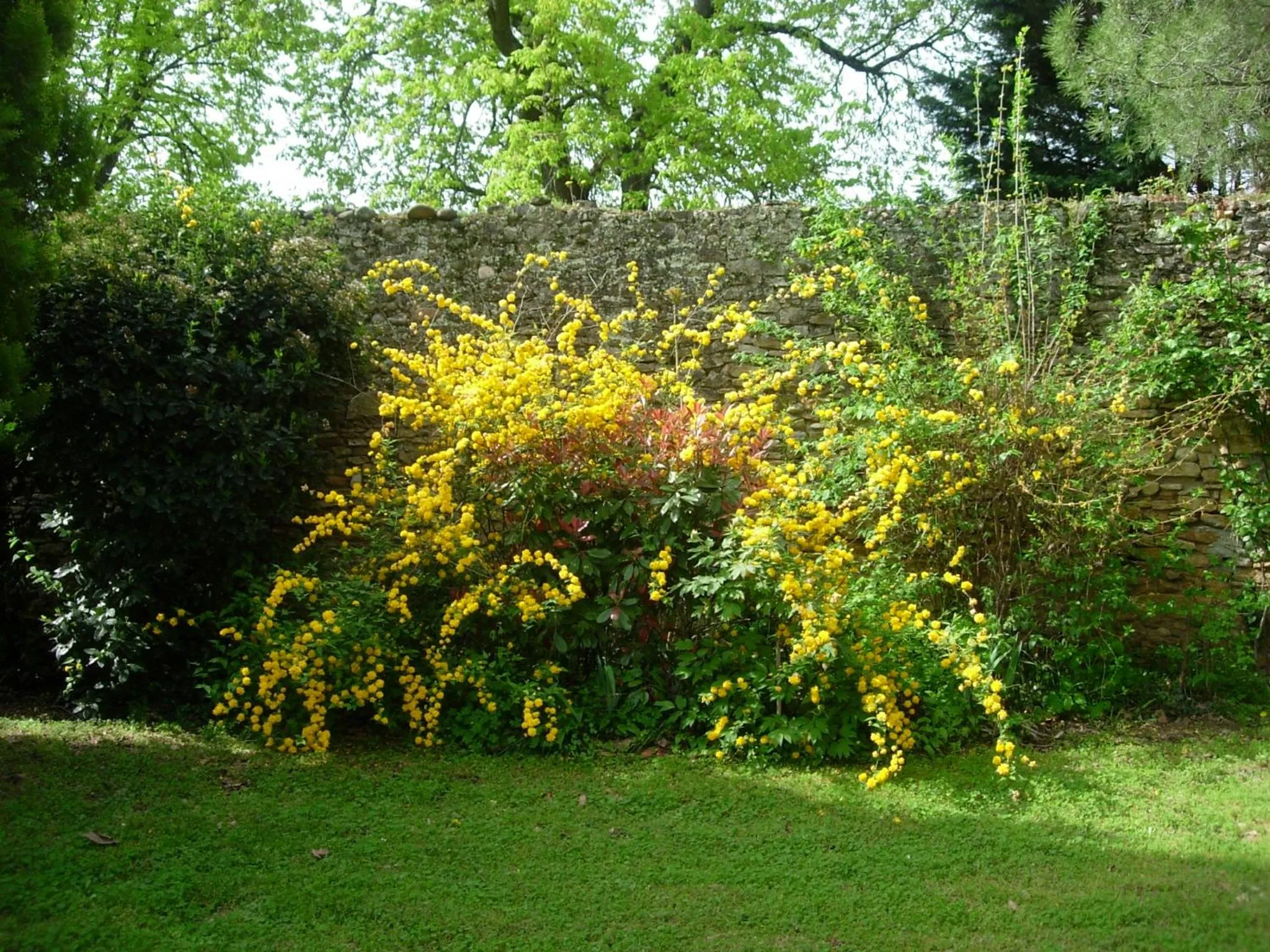 Garden in Domaine de Lamartine