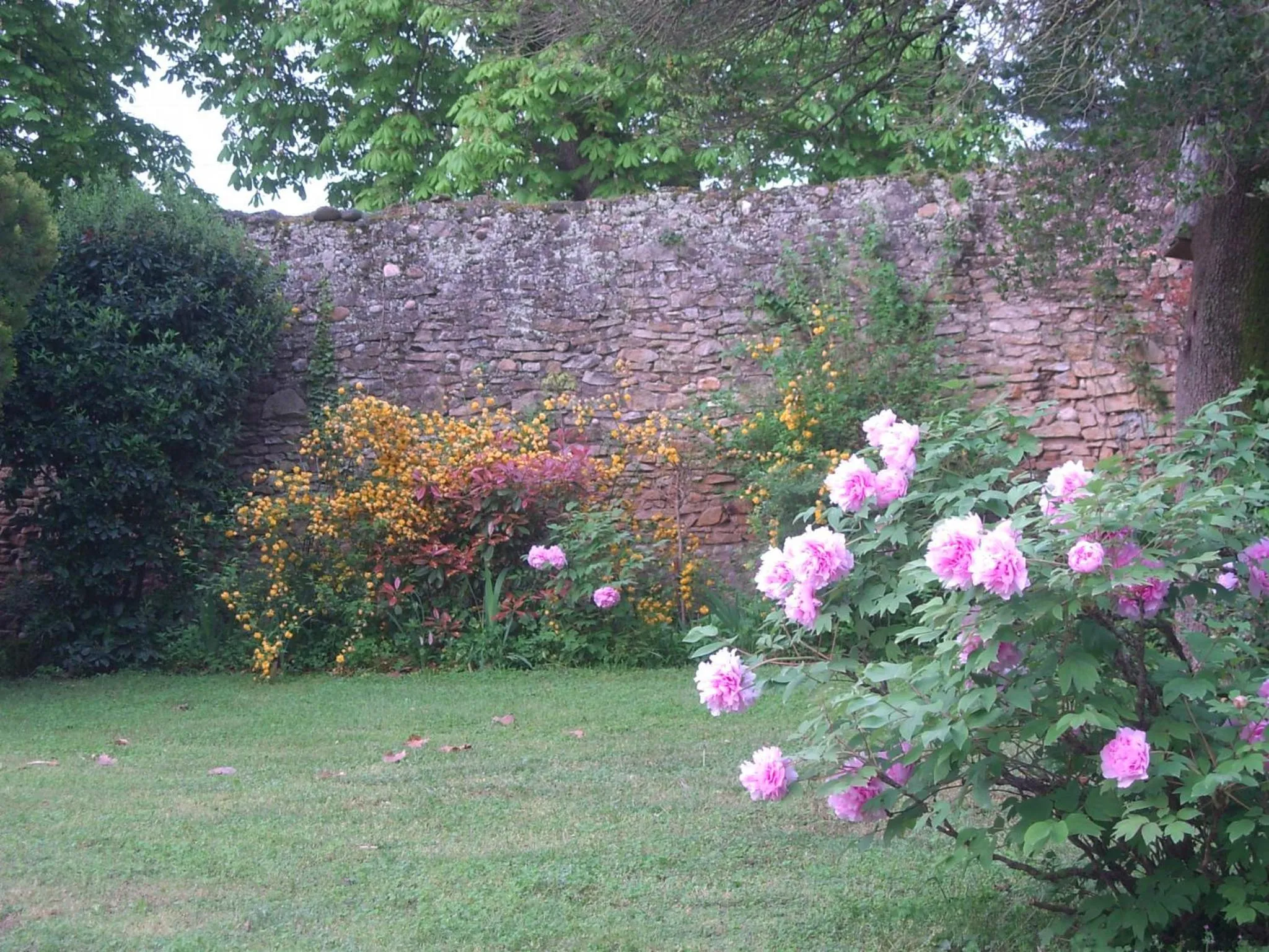 Garden view in Domaine de Lamartine