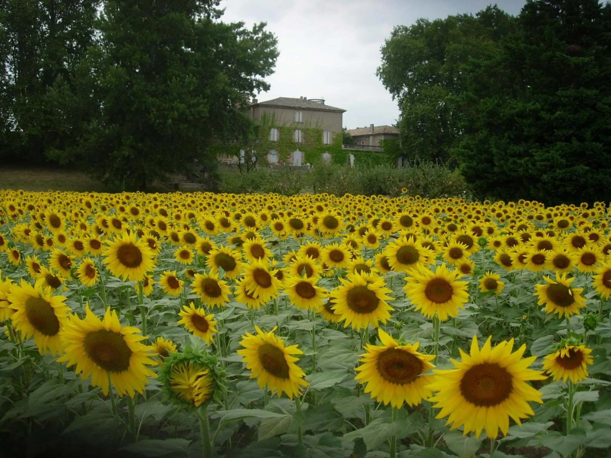 Garden view in Domaine de Lamartine