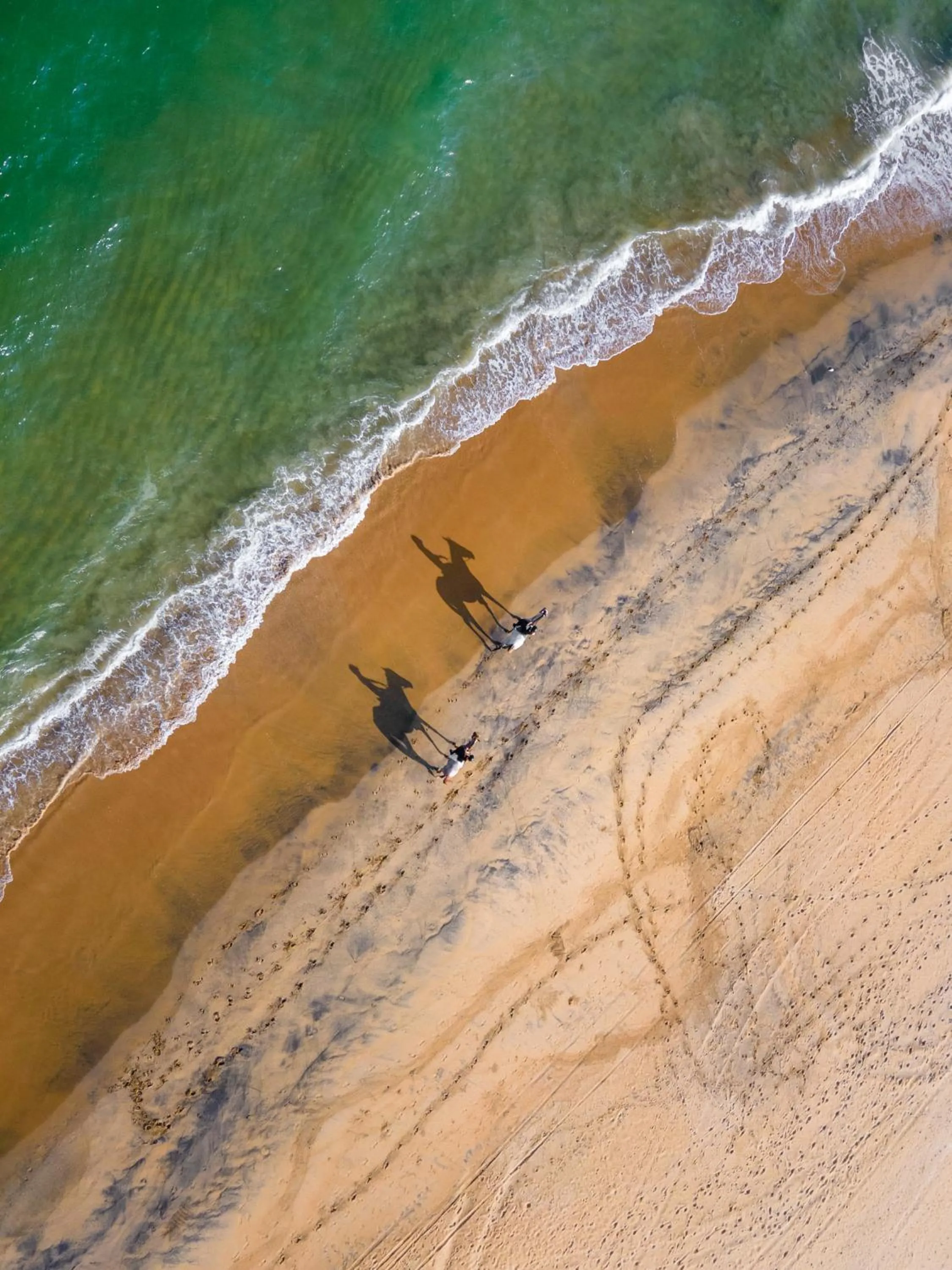 Natural landscape in Elements Beach & Nature Resort