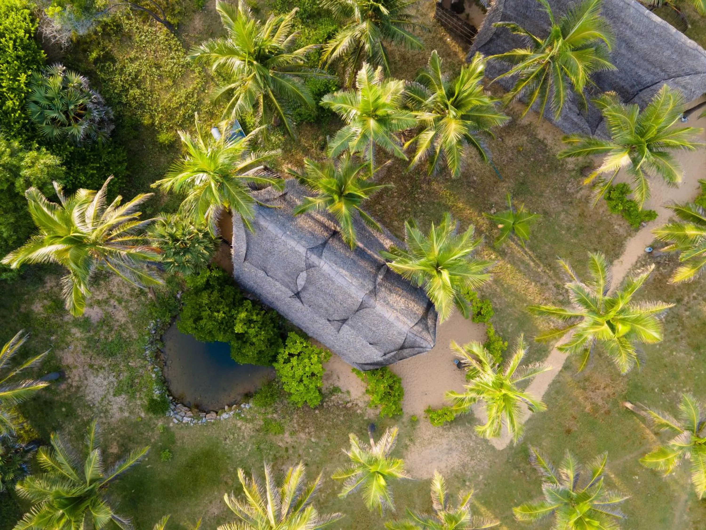 Day in Elements Beach & Nature Resort