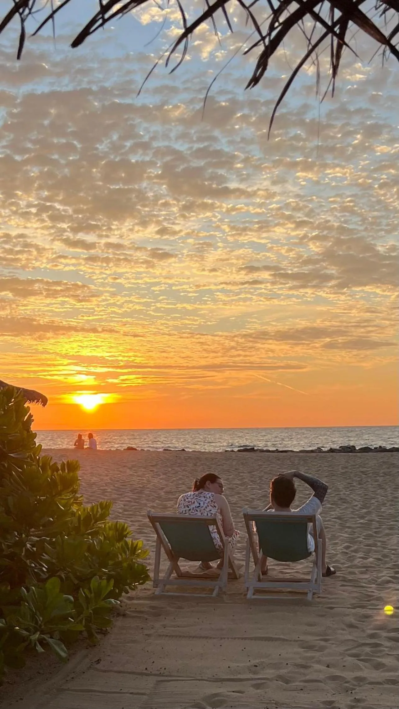 Beach in Elements Beach & Nature Resort