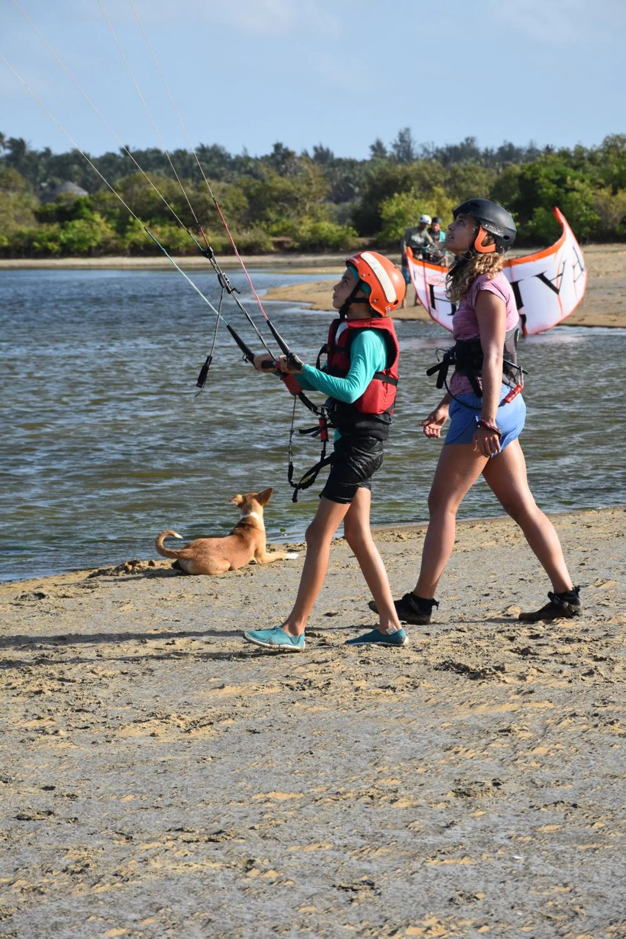 Windsurfing in Elements Beach & Nature Resort